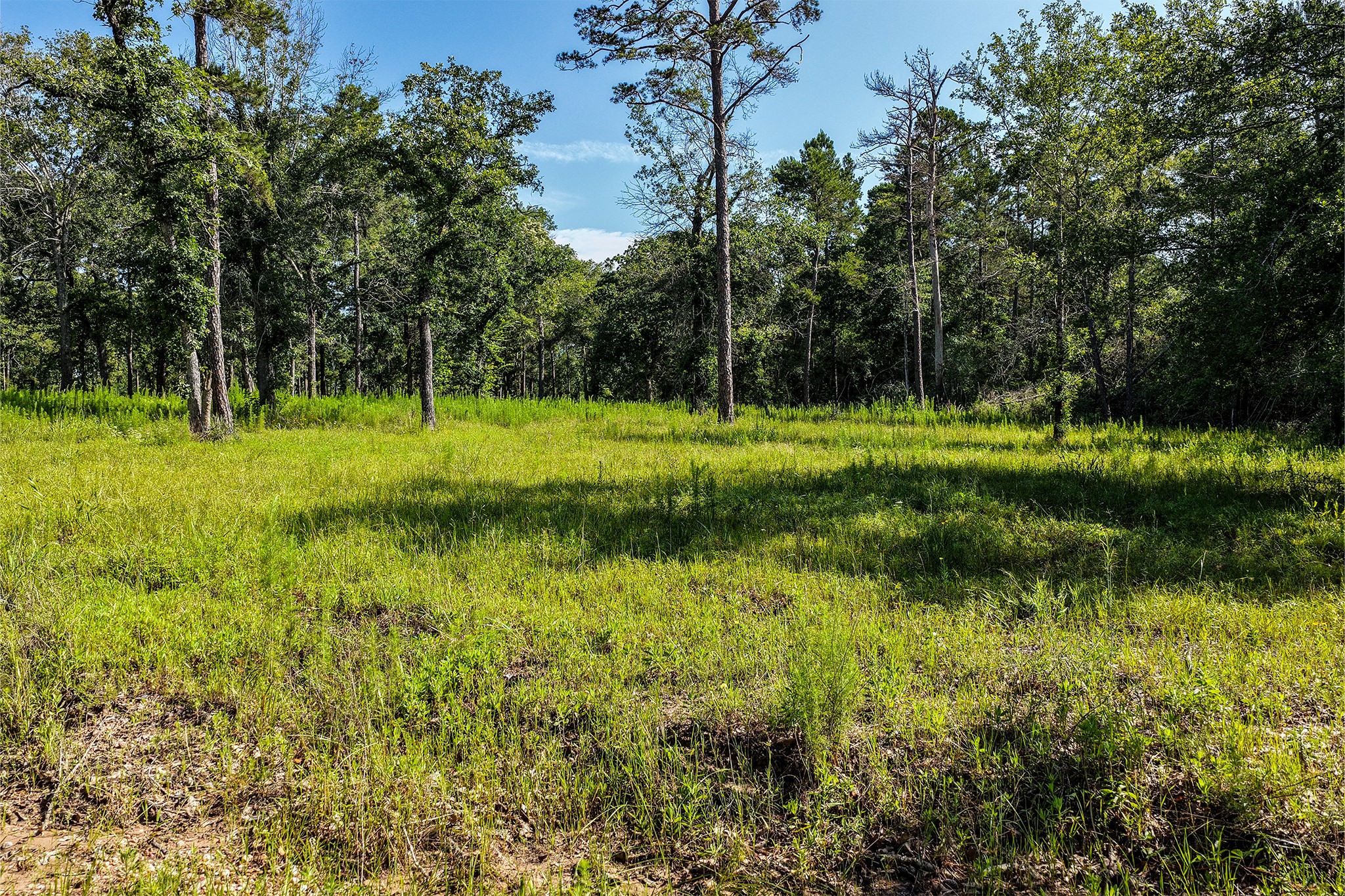 14.5 Ac Westview Dr Property Photo 7