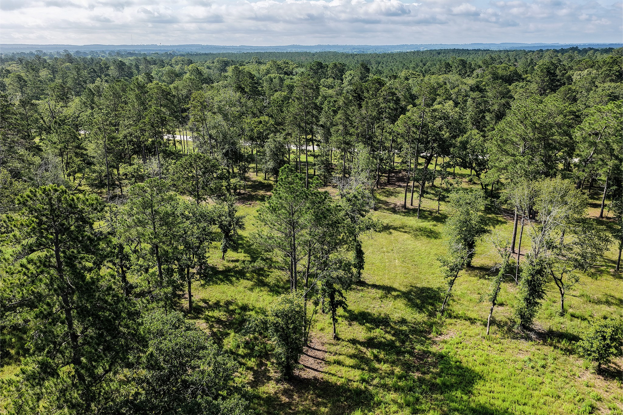 14.5 Ac Westview Dr Property Photo 9