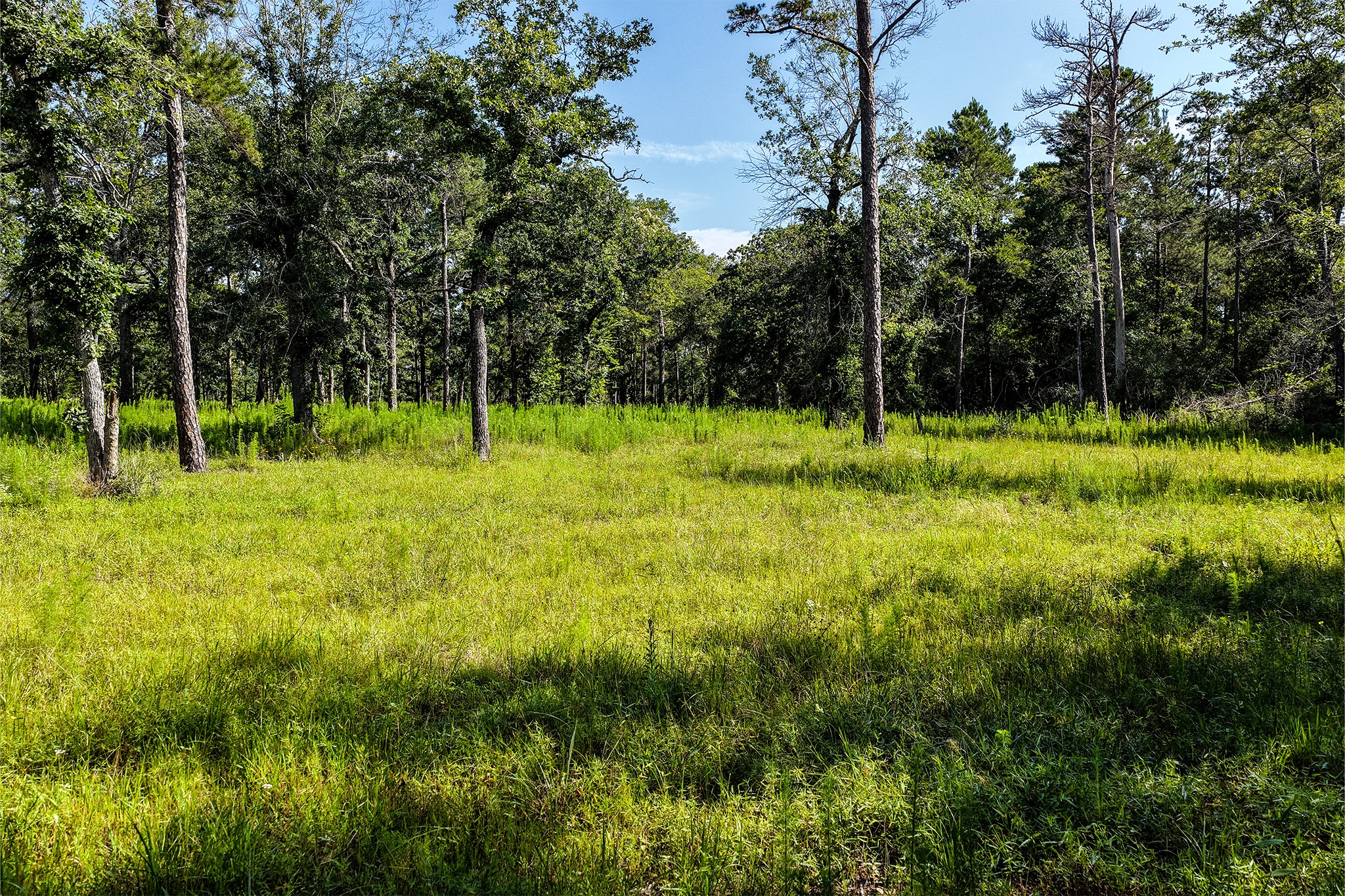 14.5 Ac Westview Dr Property Photo 10