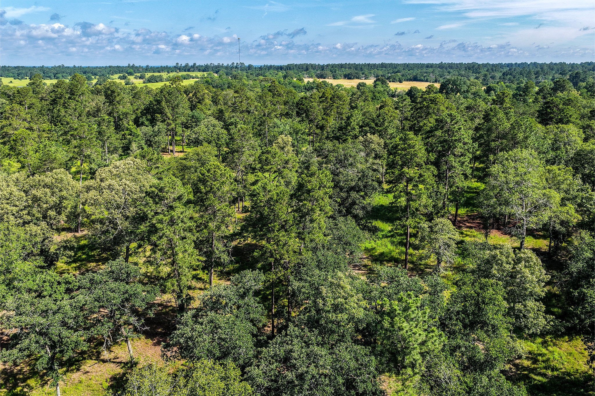 14.5 Ac Westview Dr Property Photo 12