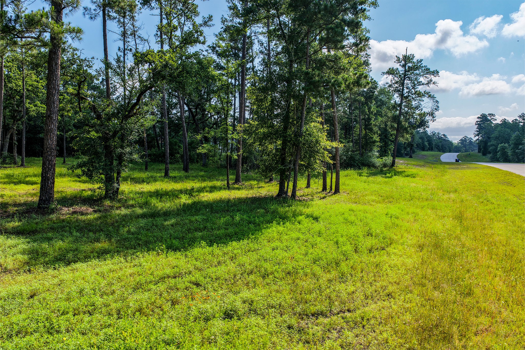 14.5 Ac Westview Dr Property Photo 13