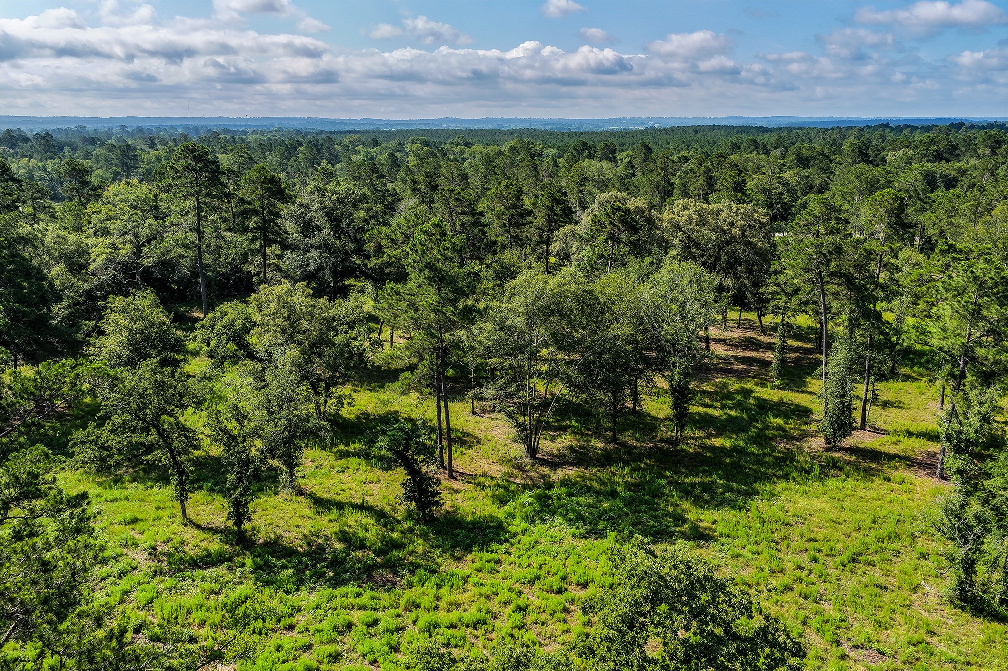 14.5 Ac Westview Dr Property Photo 14