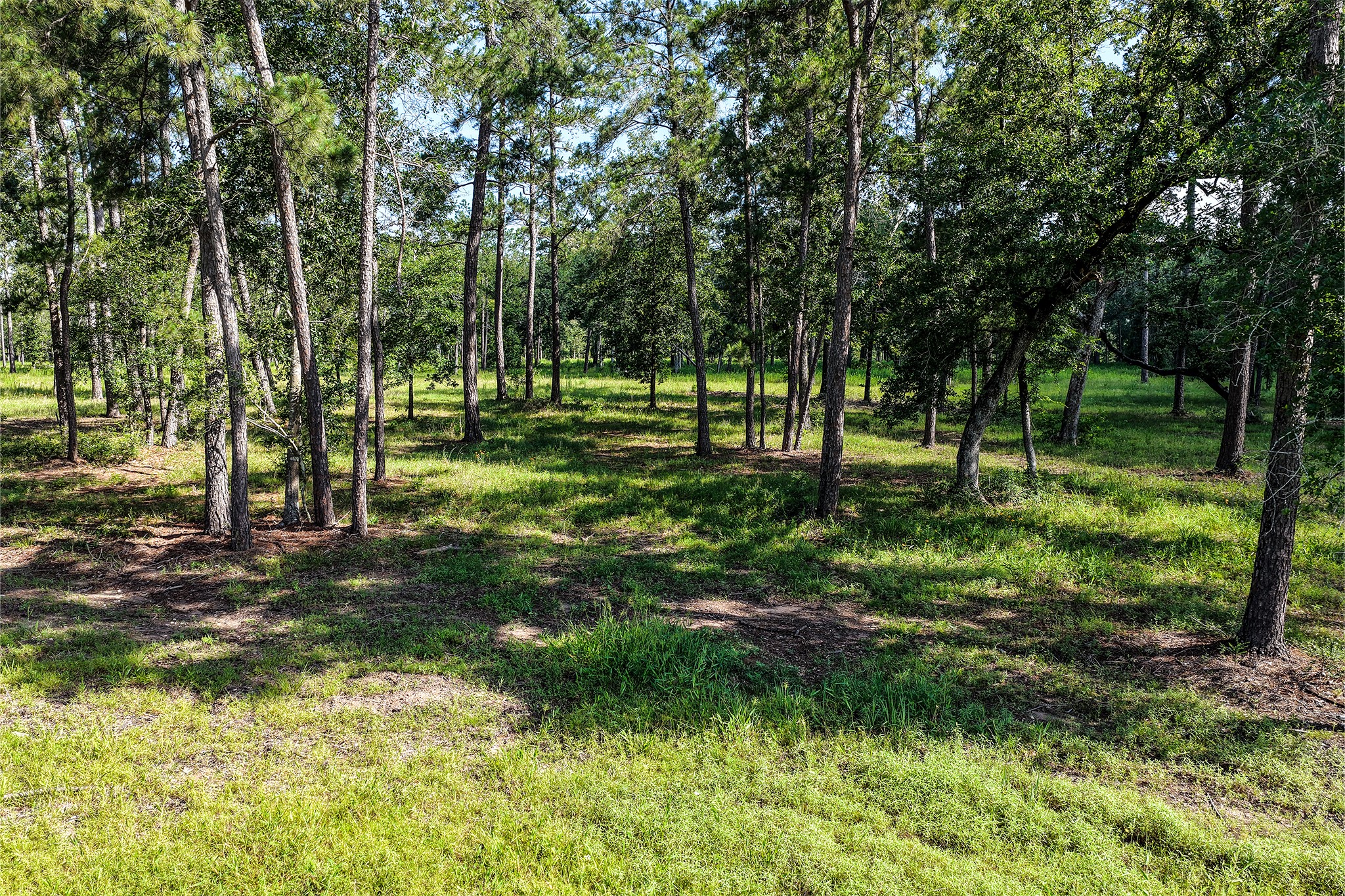 14.5 Ac Westview Dr Property Photo 15