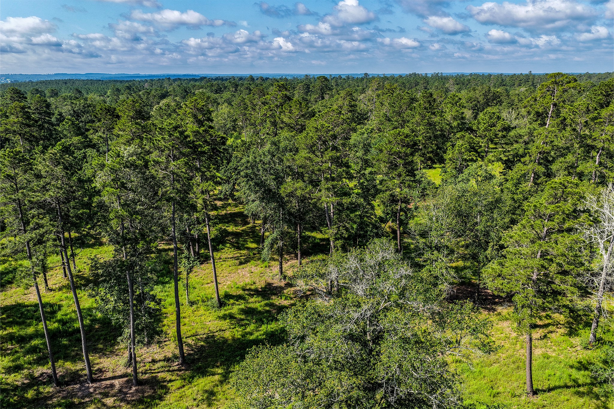 14.5 Ac Westview Dr Property Photo 16