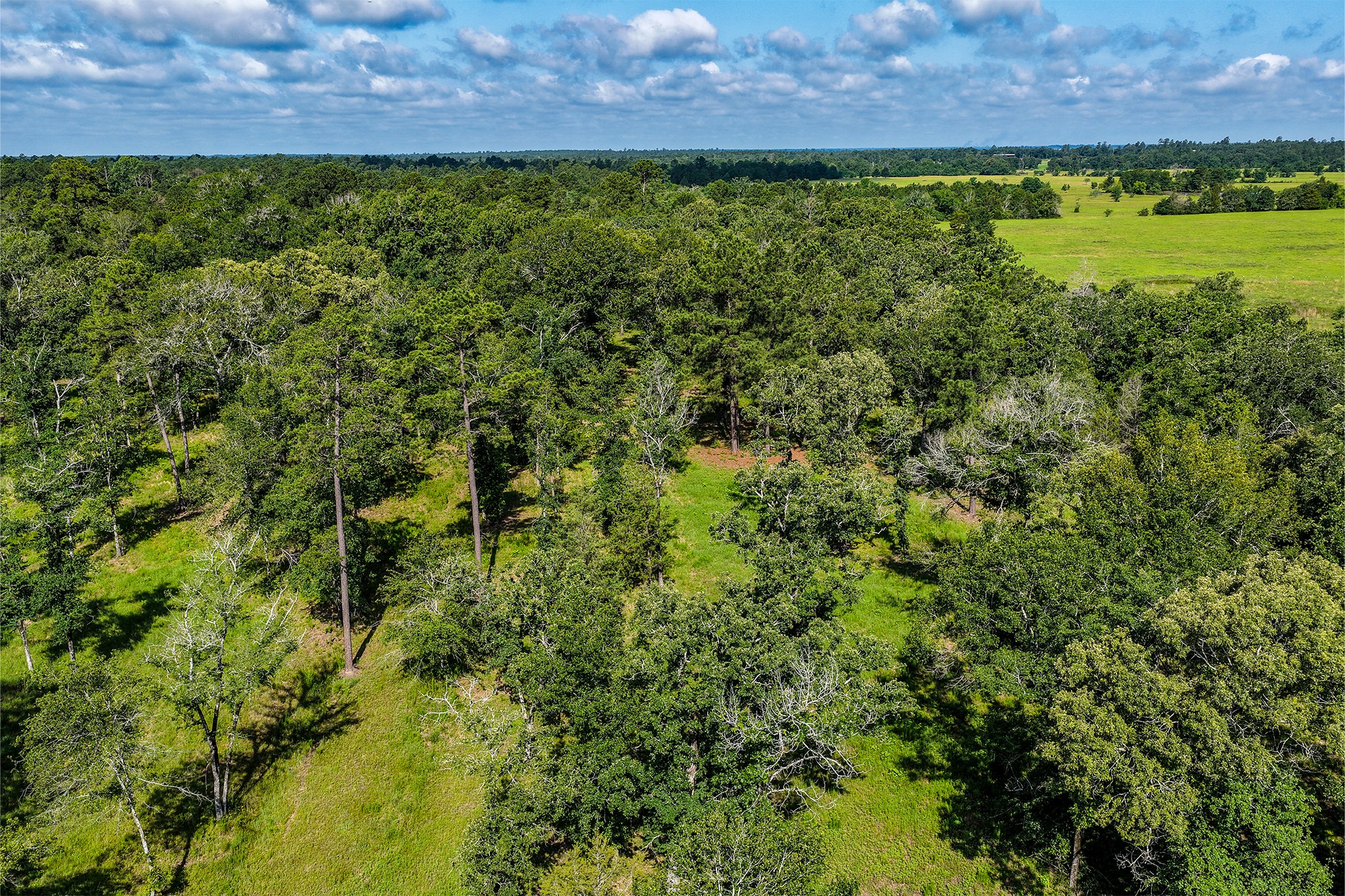 14.5 Ac Westview Dr Property Photo 18