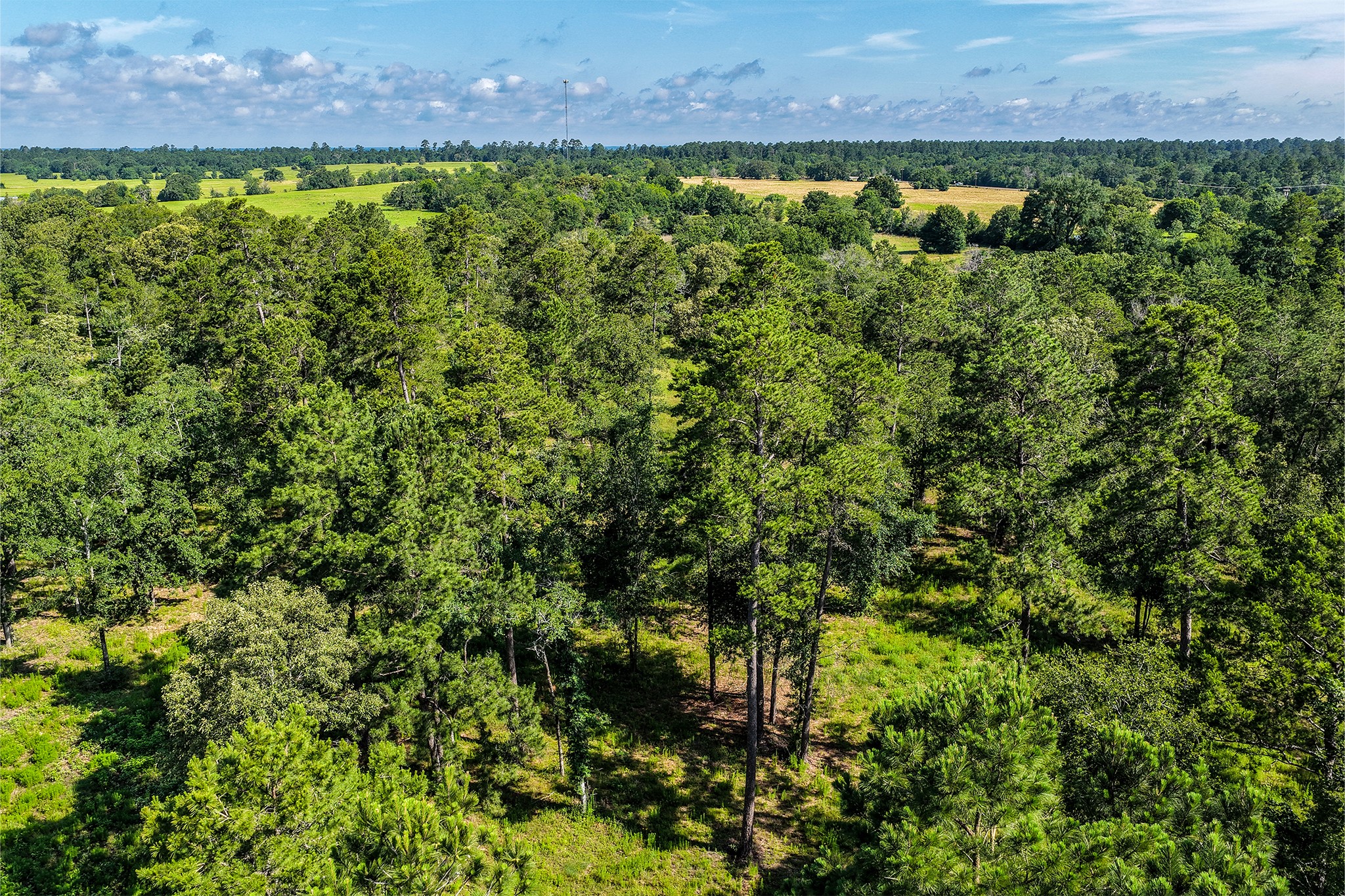 14.5 Ac Westview Dr Property Photo 19