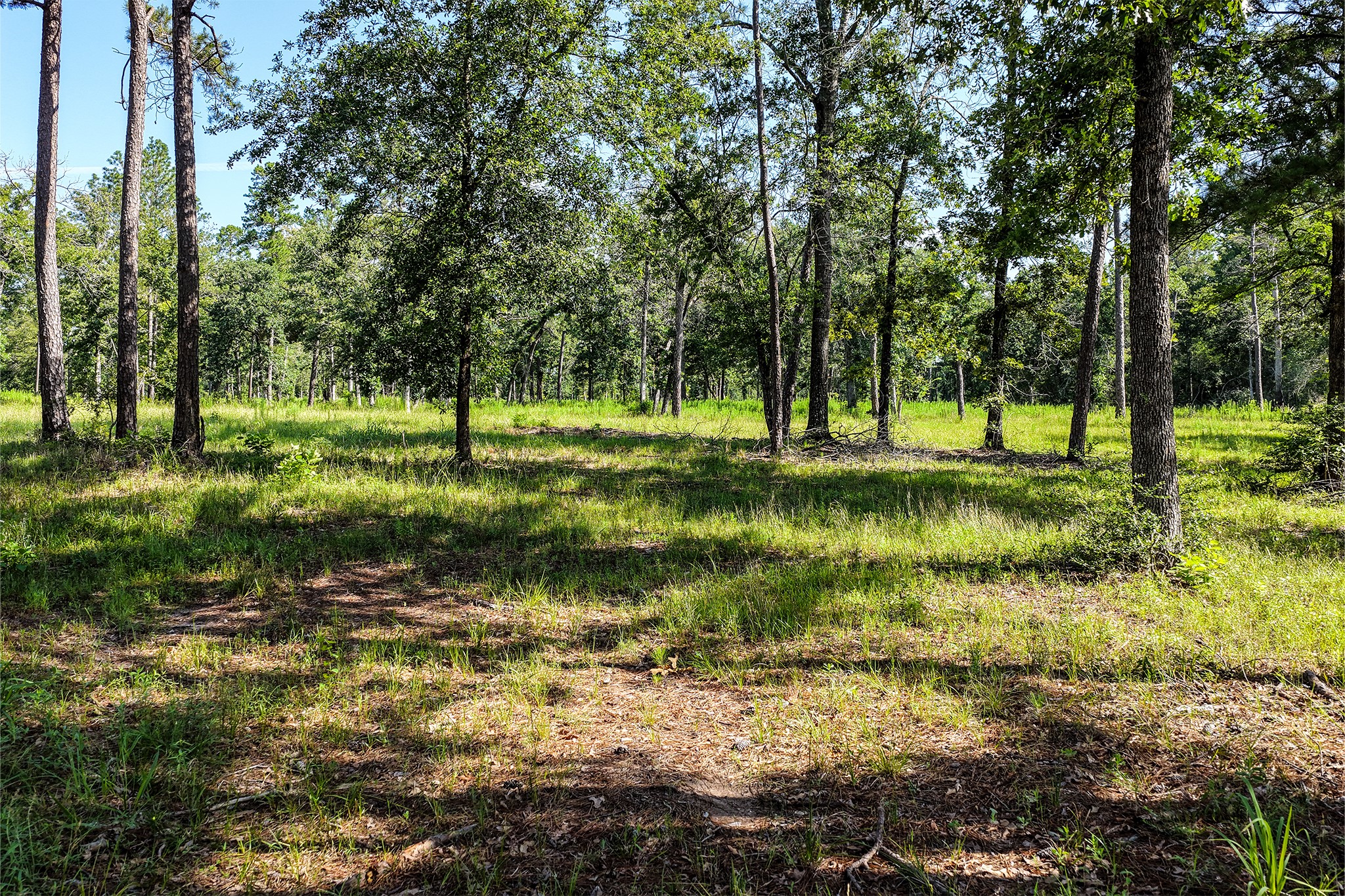 14.5 Ac Westview Dr Property Photo 21