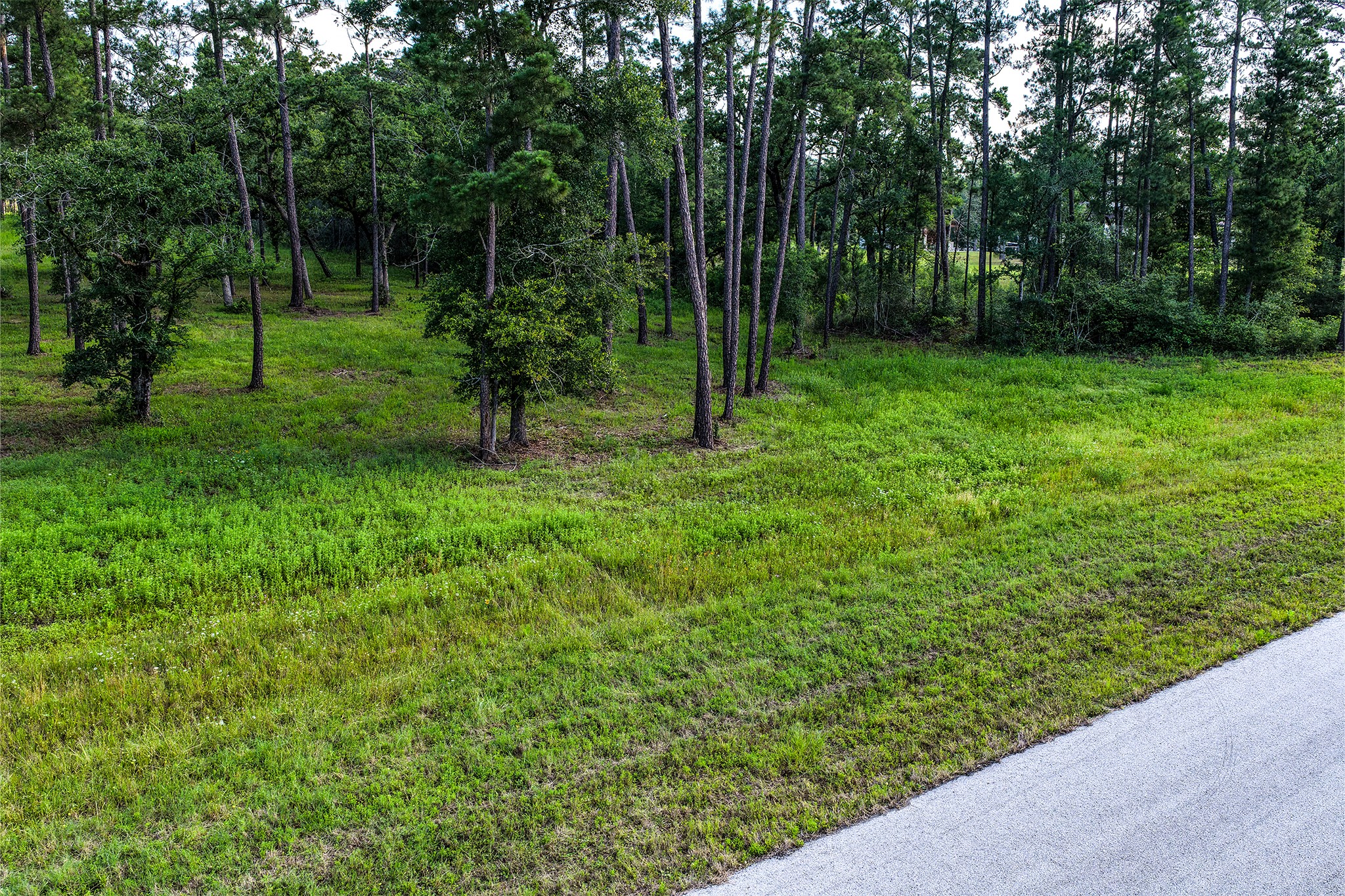 14.5 Ac Westview Dr Property Photo 22