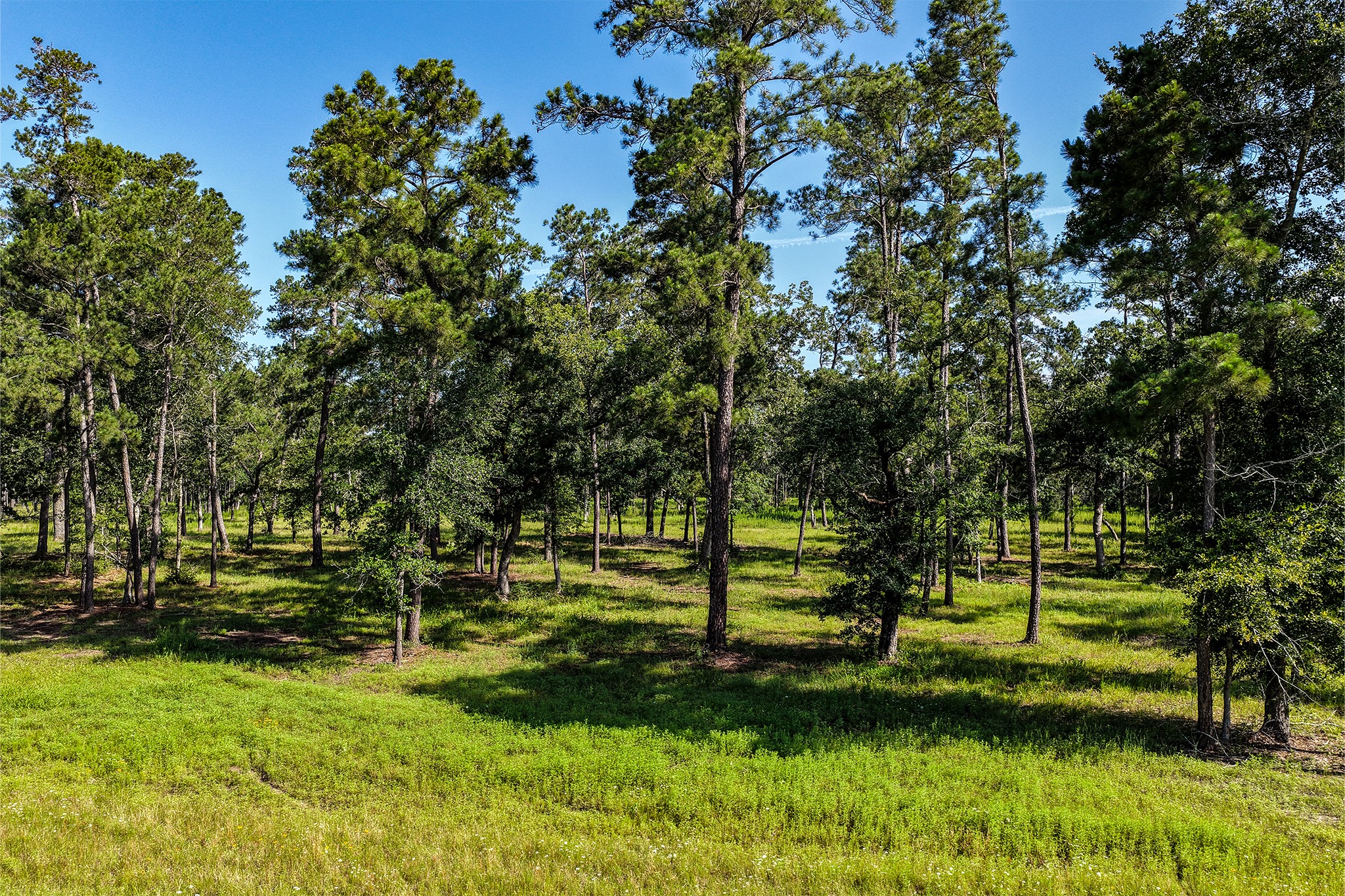 14.5 Ac Westview Dr Property Photo 26