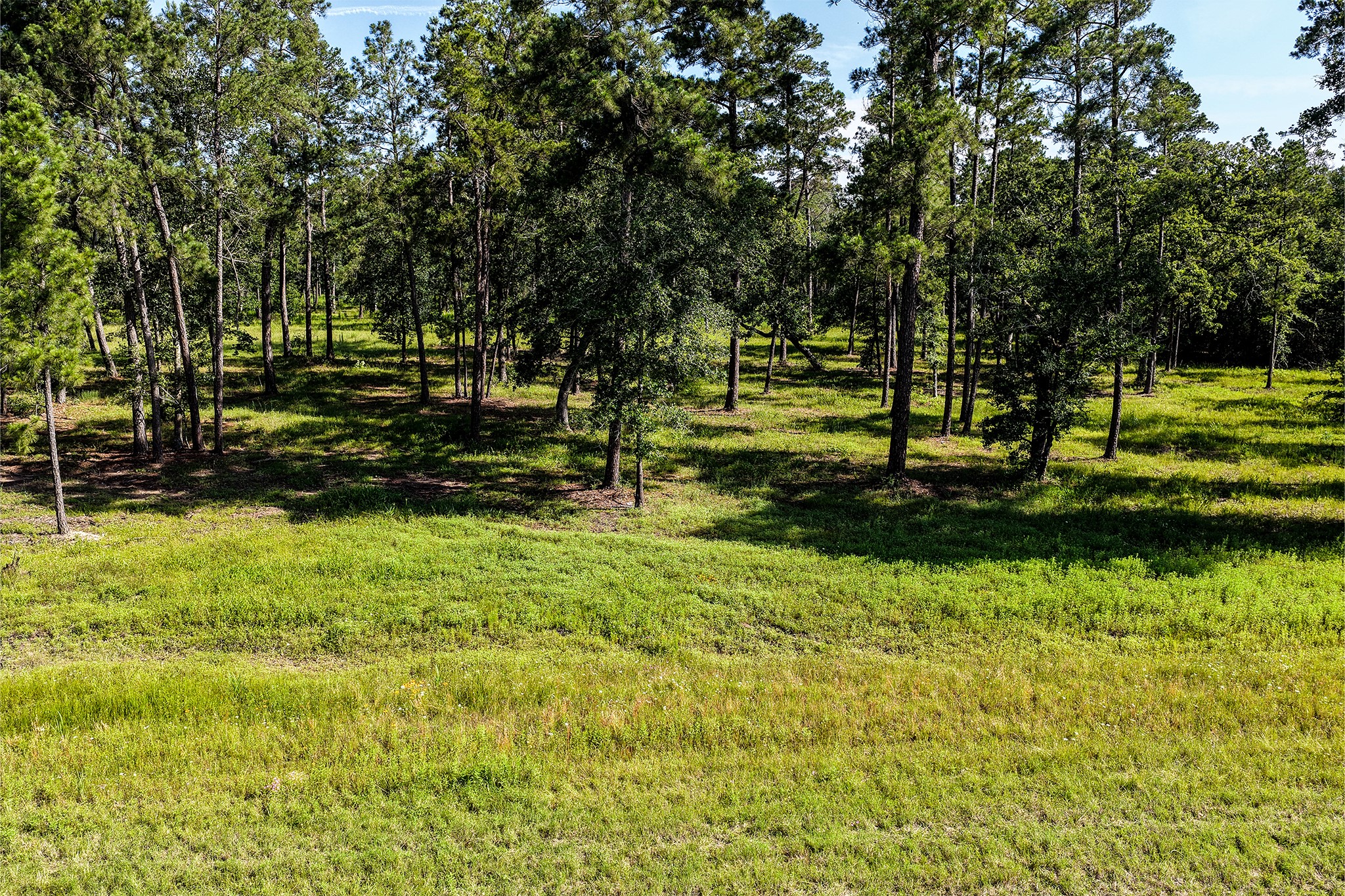 14.5 Ac Westview Dr Property Photo 28