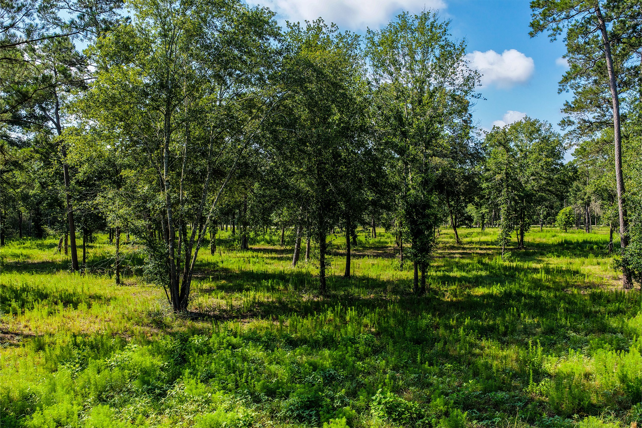 14.5 Ac Westview Dr Property Photo 30