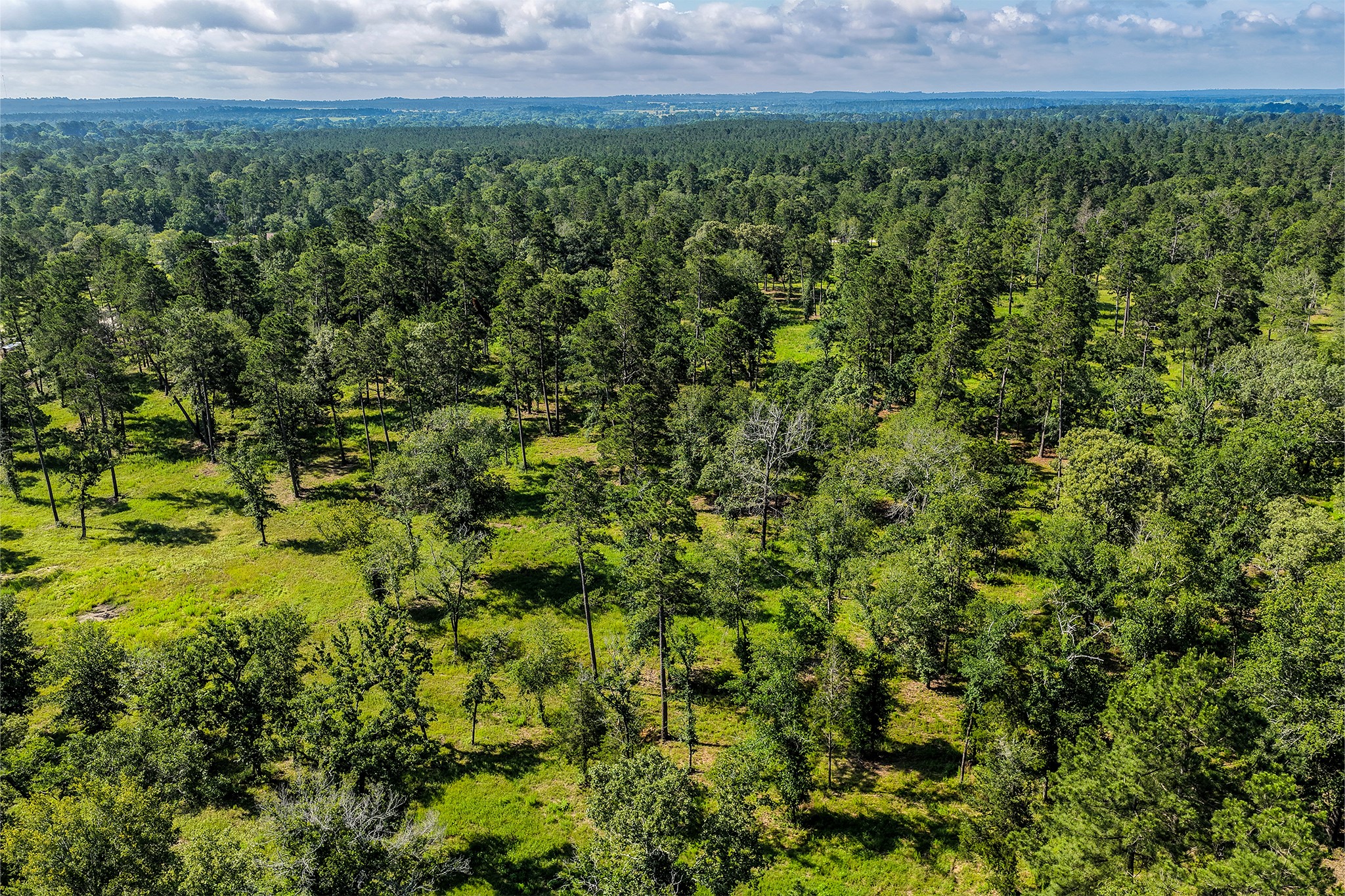 14.5 Ac Westview Dr Property Photo 33