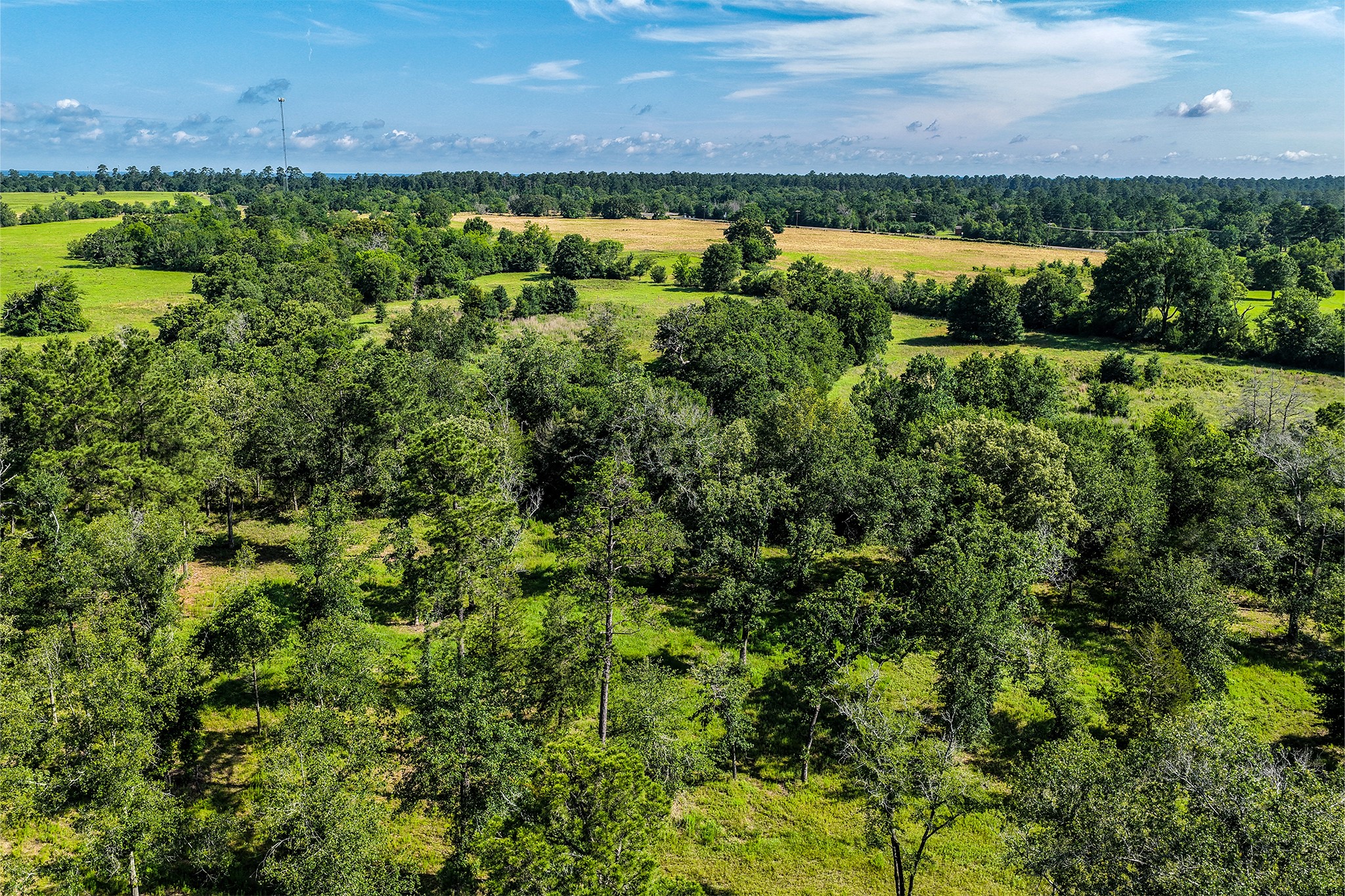 14.5 Ac Westview Dr Property Photo 35