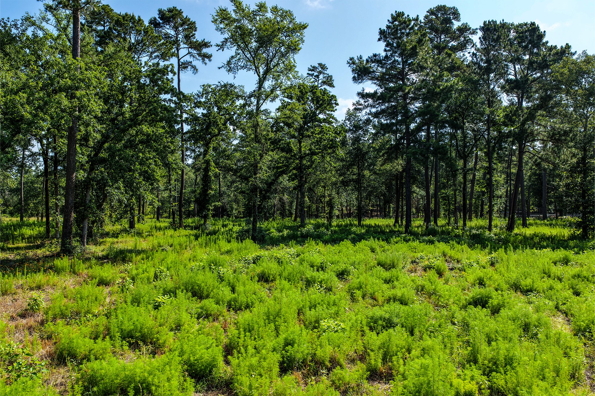 14.5 Ac Westview Dr Property Photo 37