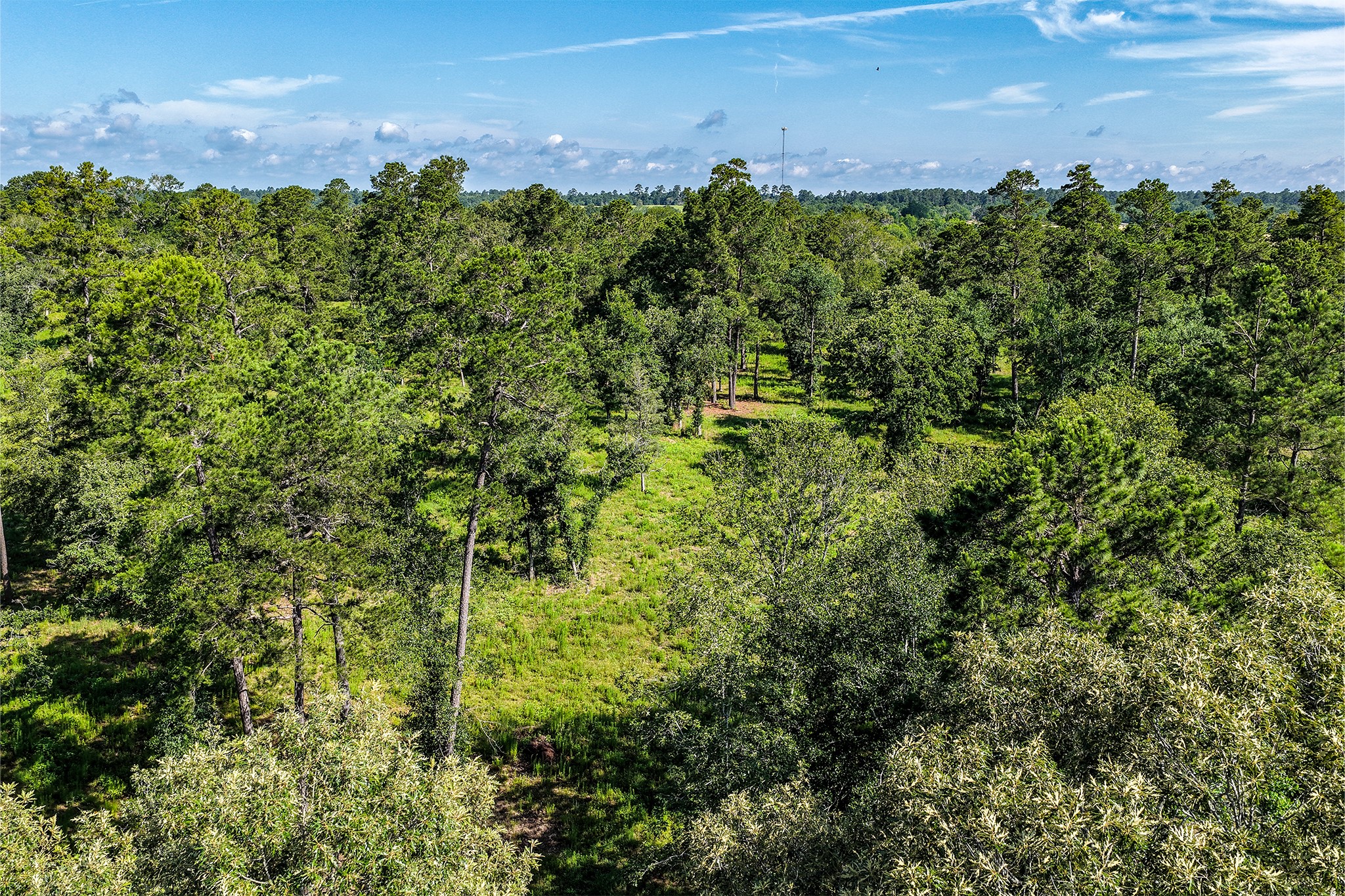 14.5 Ac Westview Dr Property Photo 38
