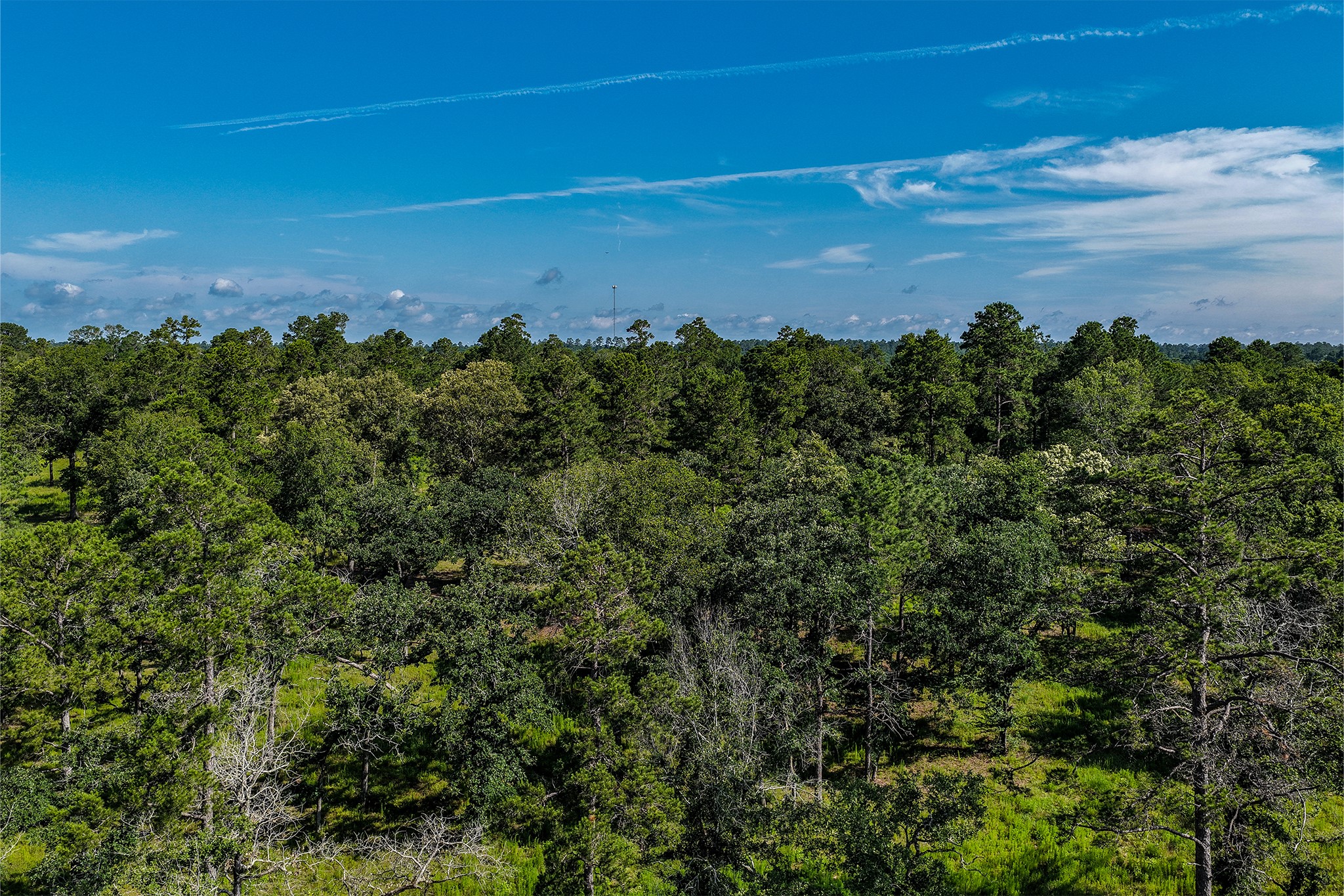 14.5 Ac Westview Dr Property Photo 39