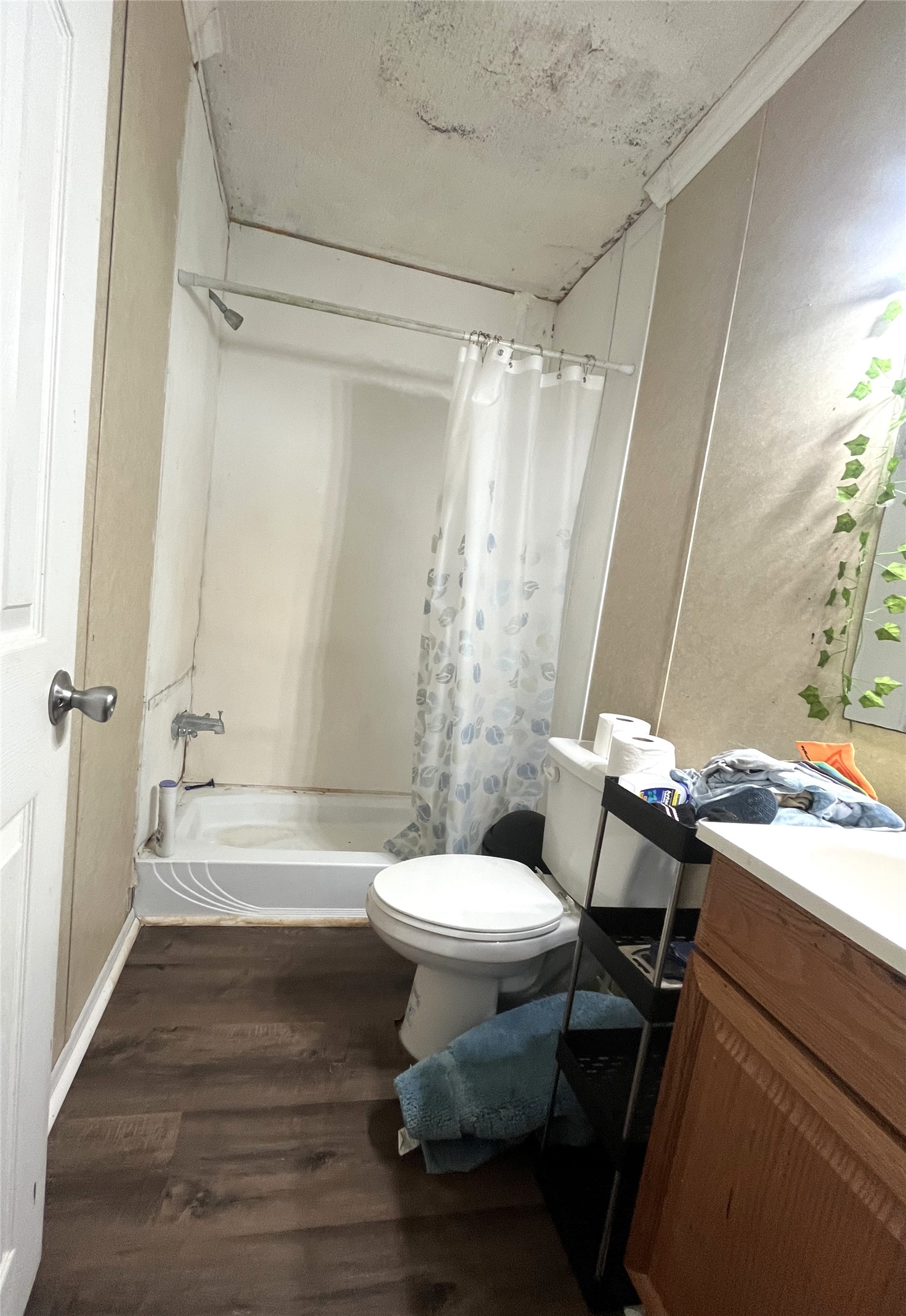 43 County Road 4284 Property Photo 9