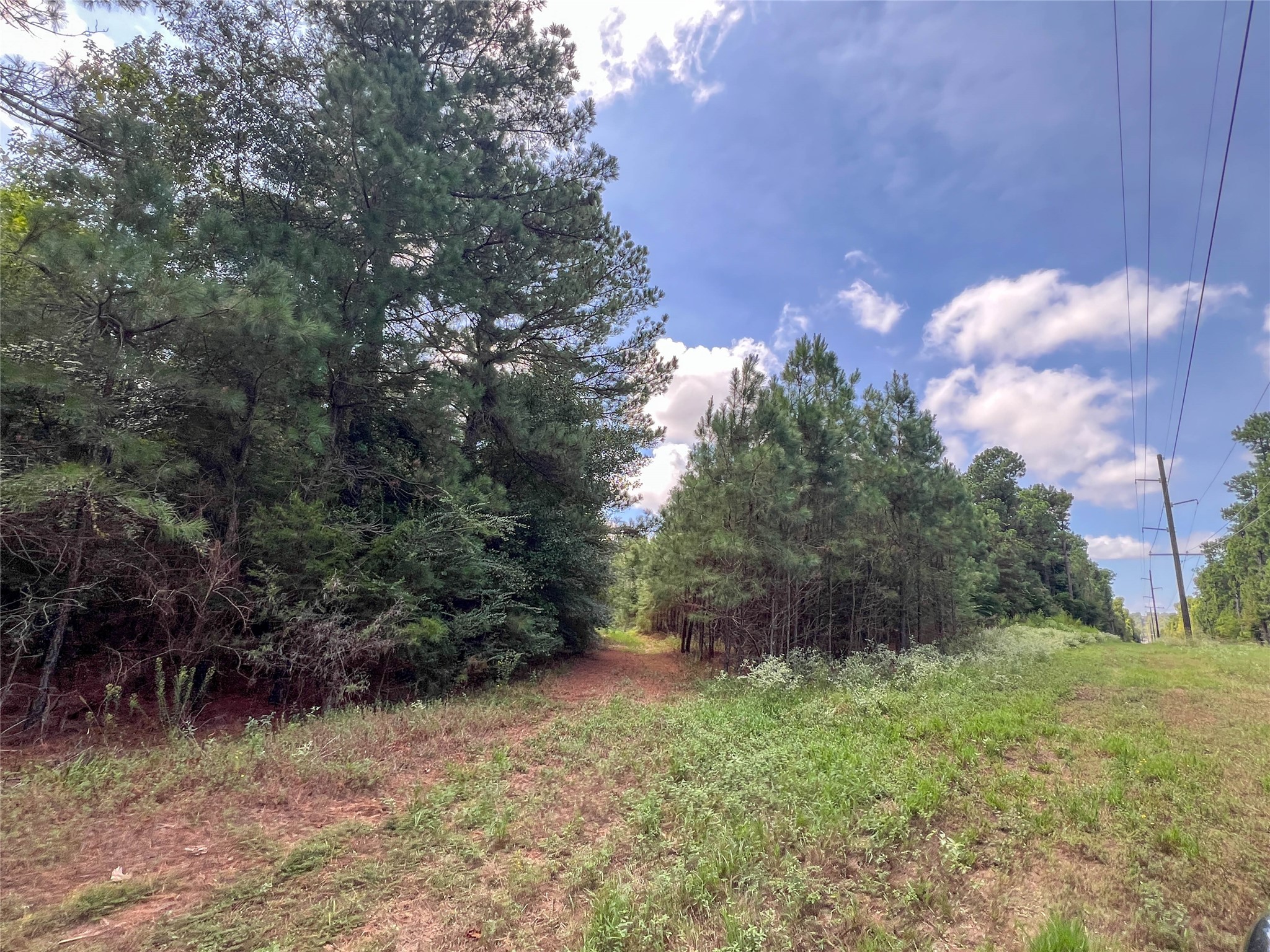 2 County Road 3302 Property Photo 4