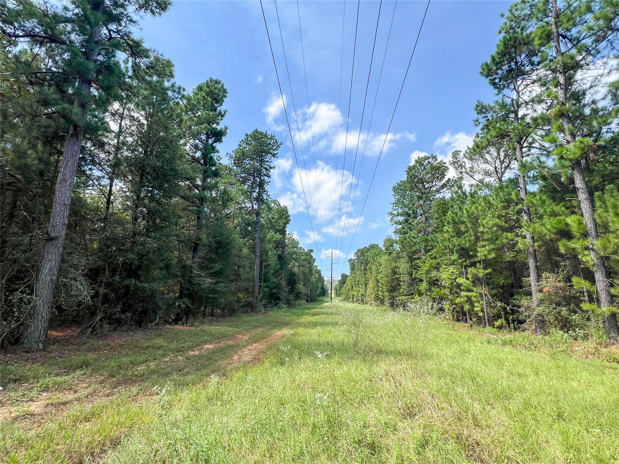2 County Road 3302 Property Photo 5