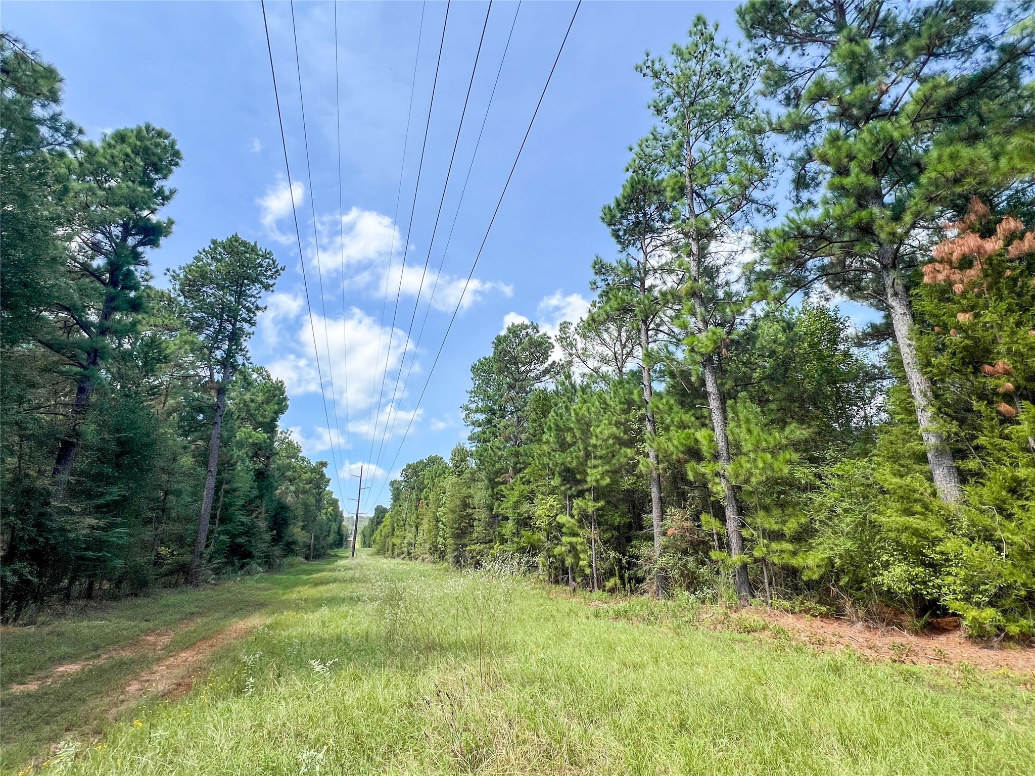 2 County Road 3302 Property Photo 6