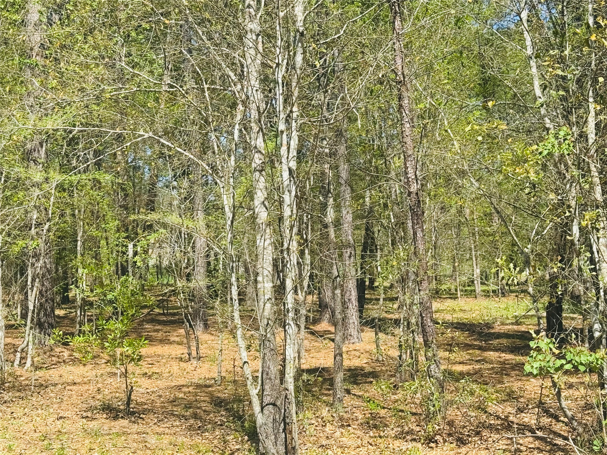0 Creekbend Drive Property Photo 5