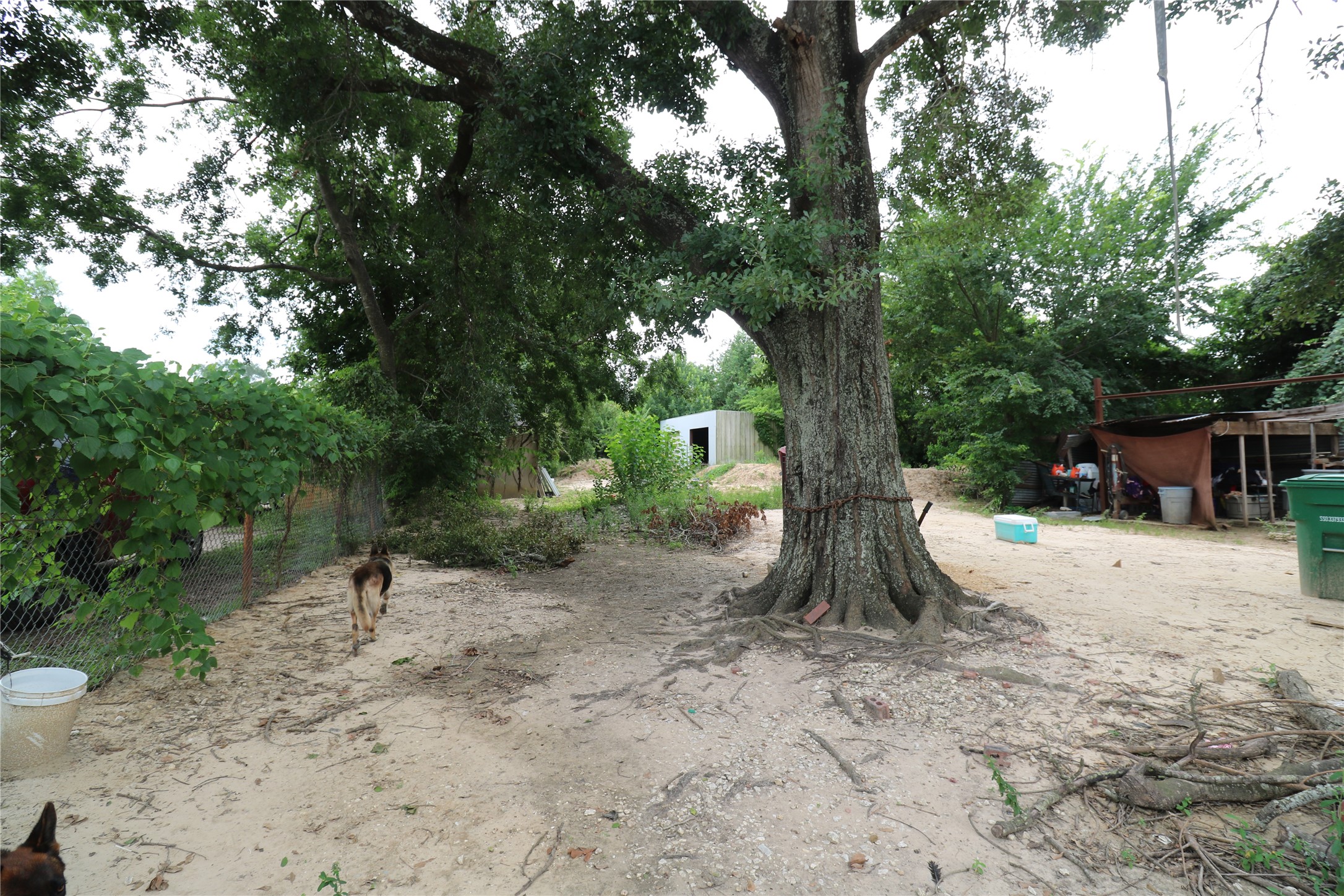 3217 Mansfield Street Property Photo 7