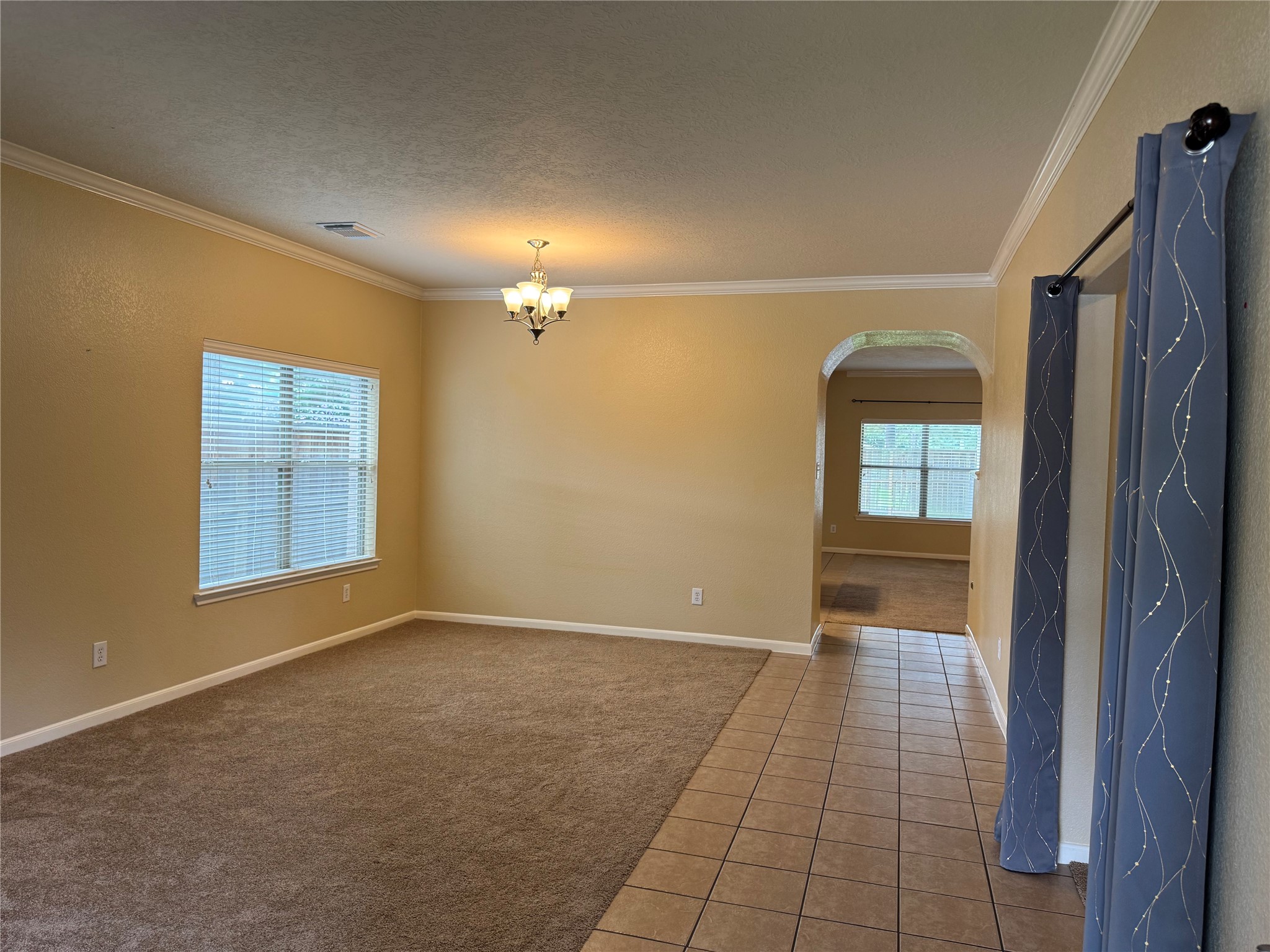 21307 Springbrook Hollow Court Property Photo 3