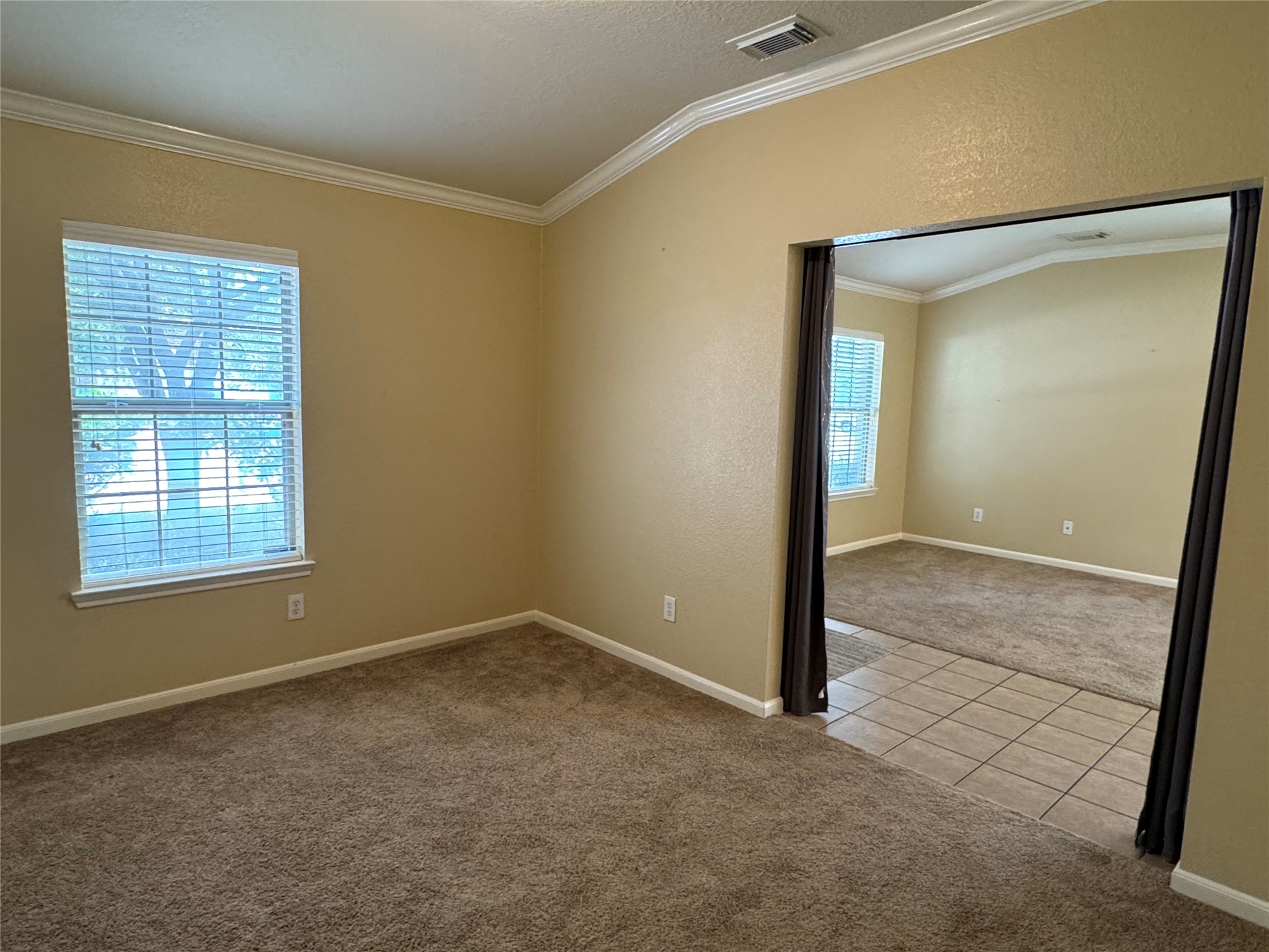 21307 Springbrook Hollow Court Property Photo 5