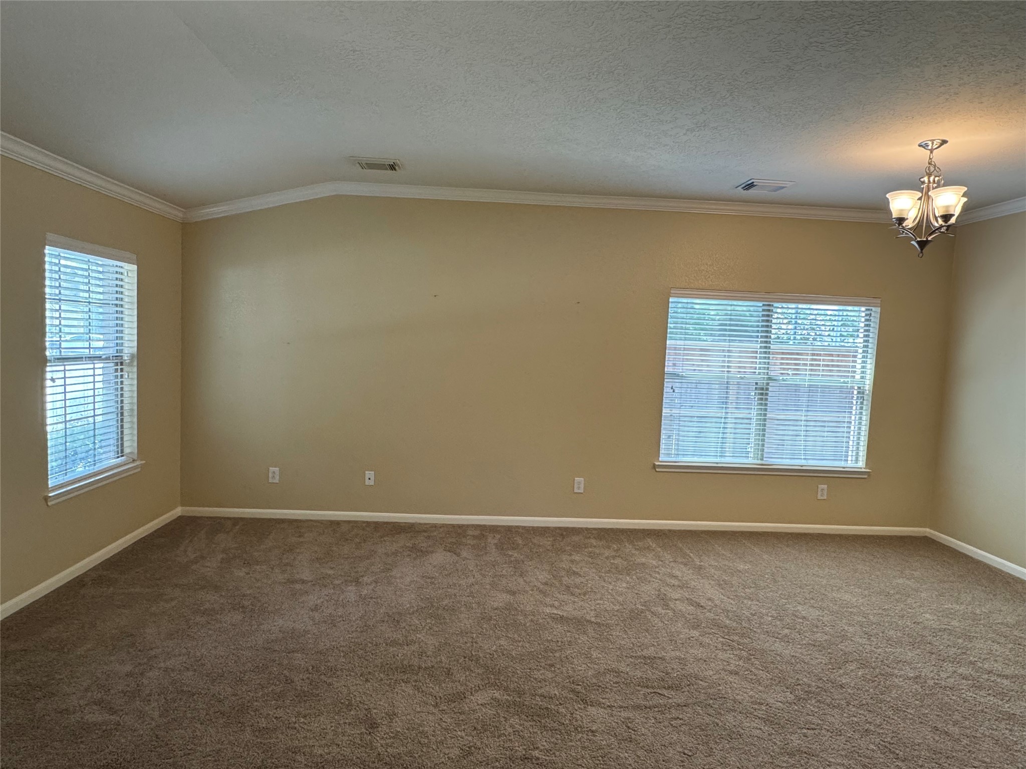 21307 Springbrook Hollow Court Property Photo 7