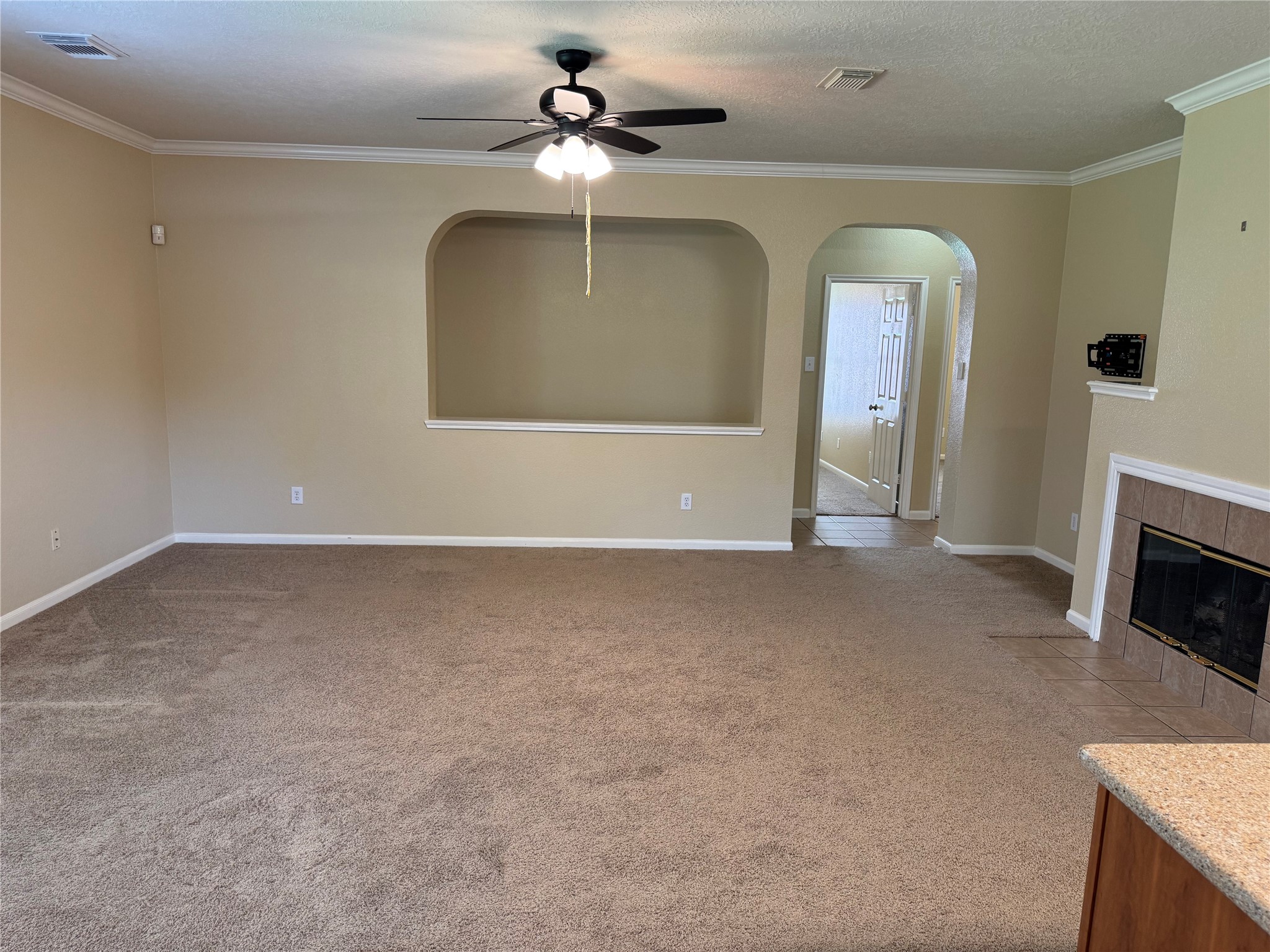 21307 Springbrook Hollow Court Property Photo 9