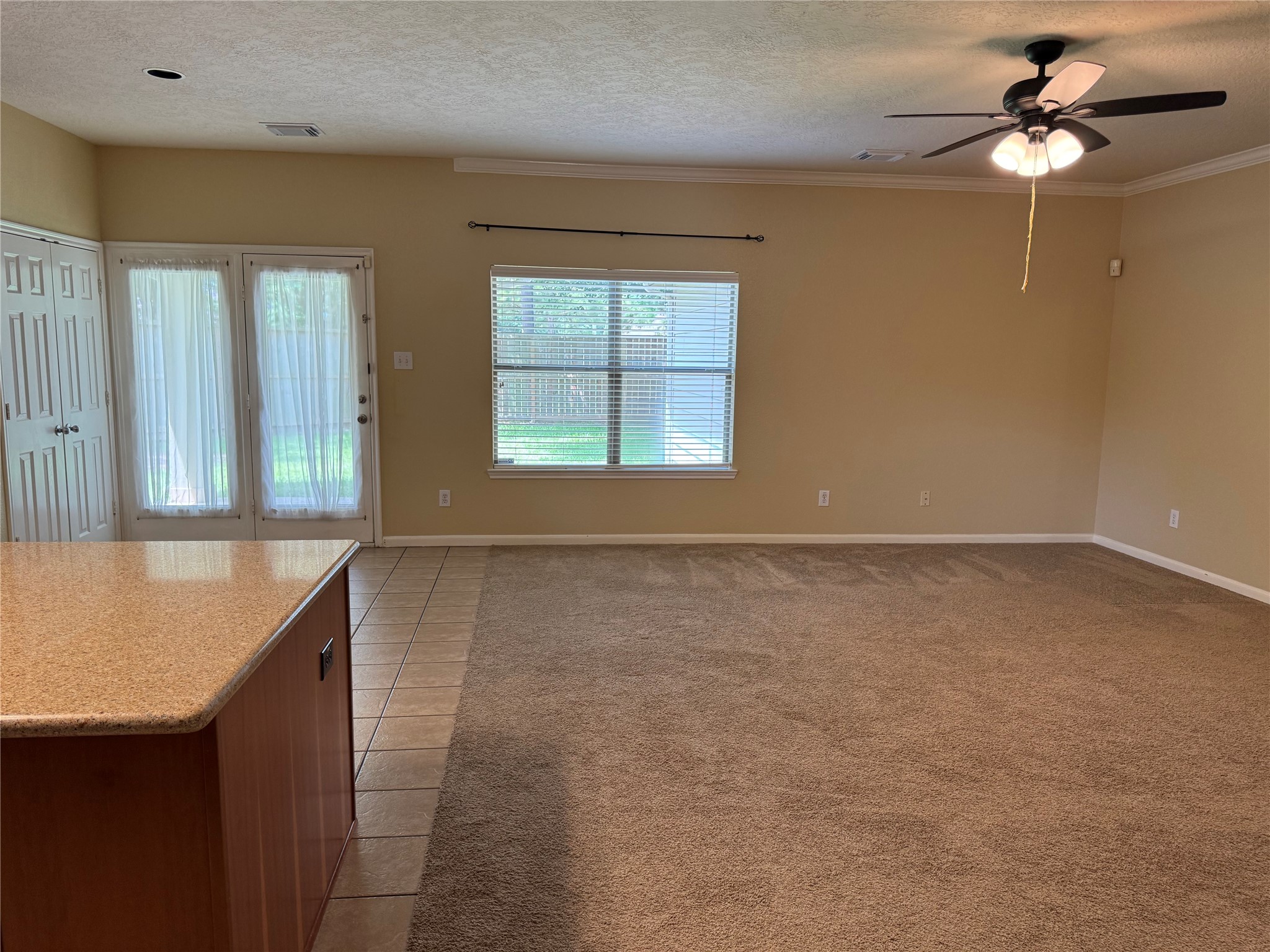 21307 Springbrook Hollow Court Property Photo 10