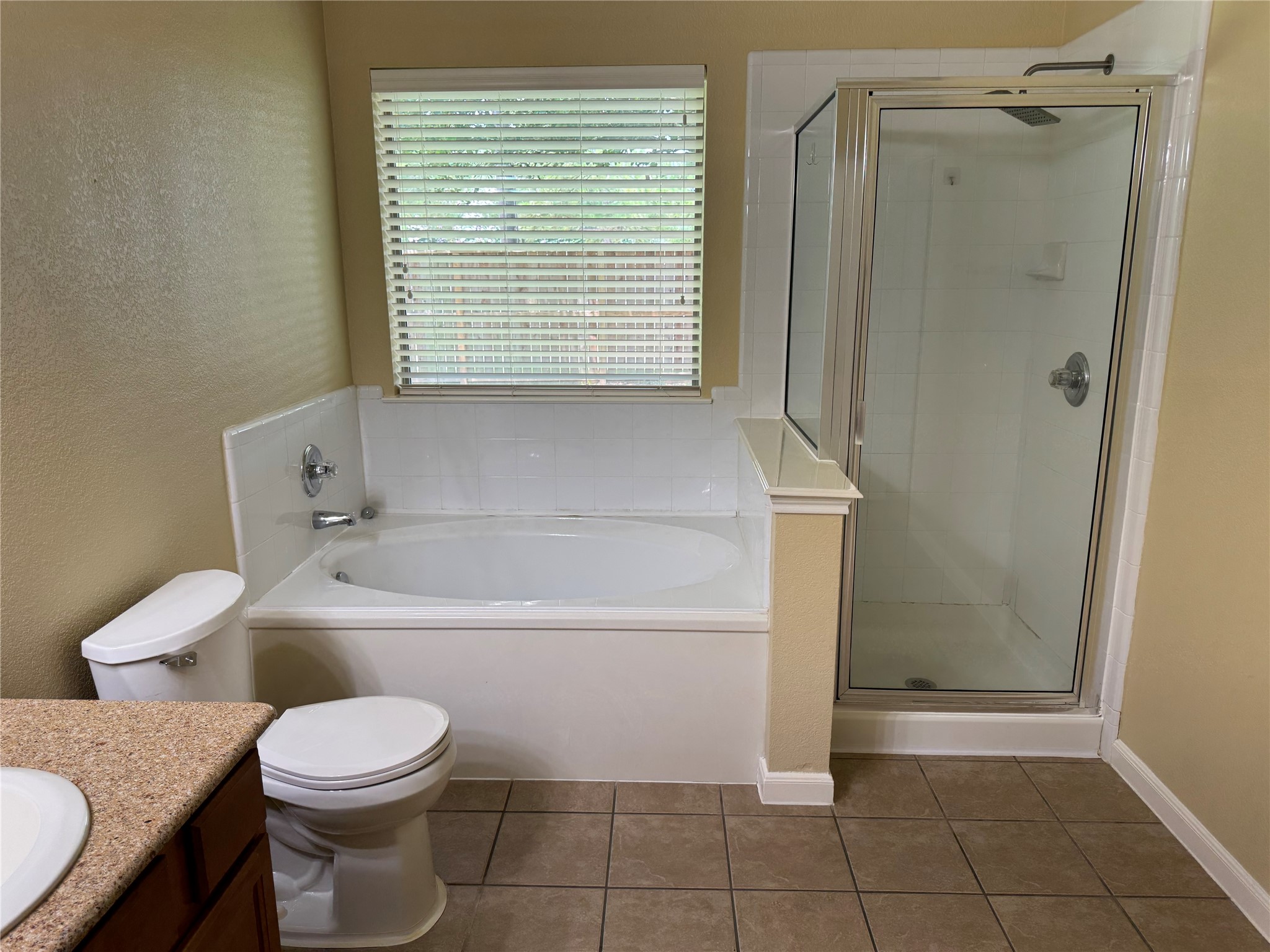 21307 Springbrook Hollow Court Property Photo 16