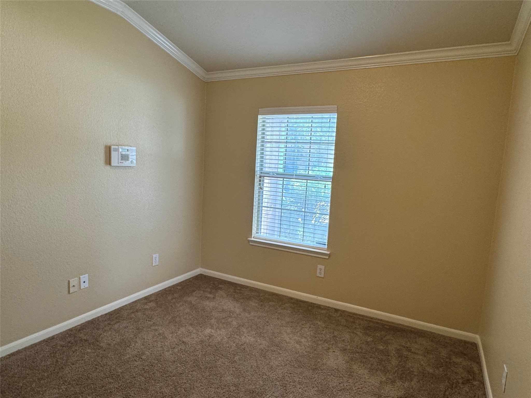 21307 Springbrook Hollow Court Property Photo 17