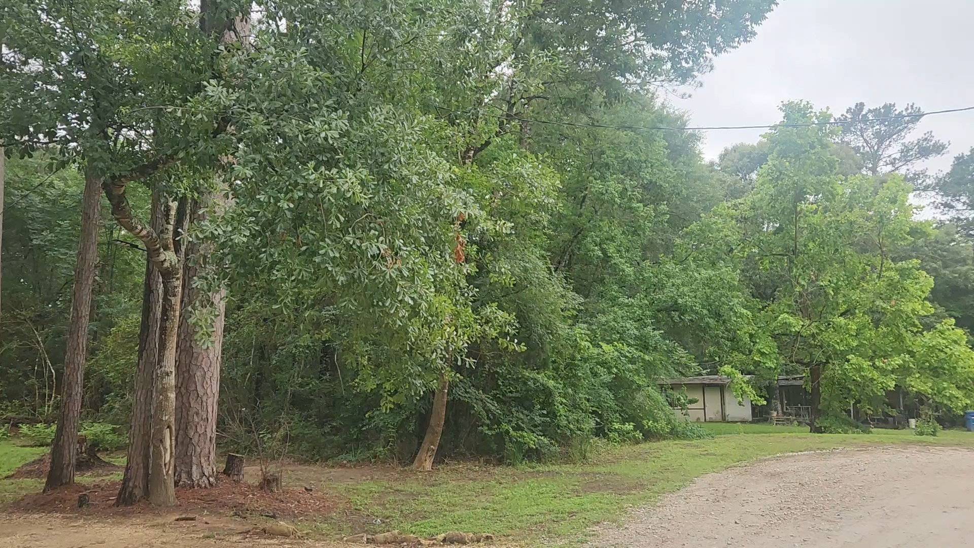 1017 Weeping Willow Drive Property Photo 3