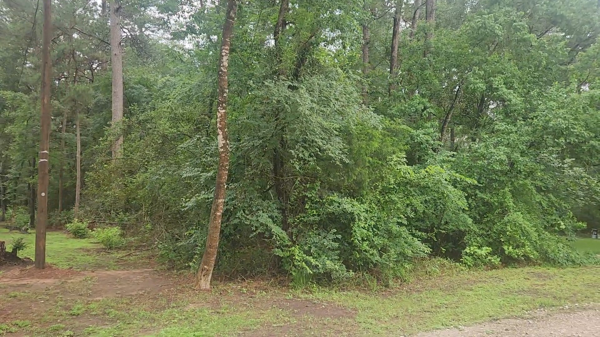 1017 Weeping Willow Drive Property Photo 6