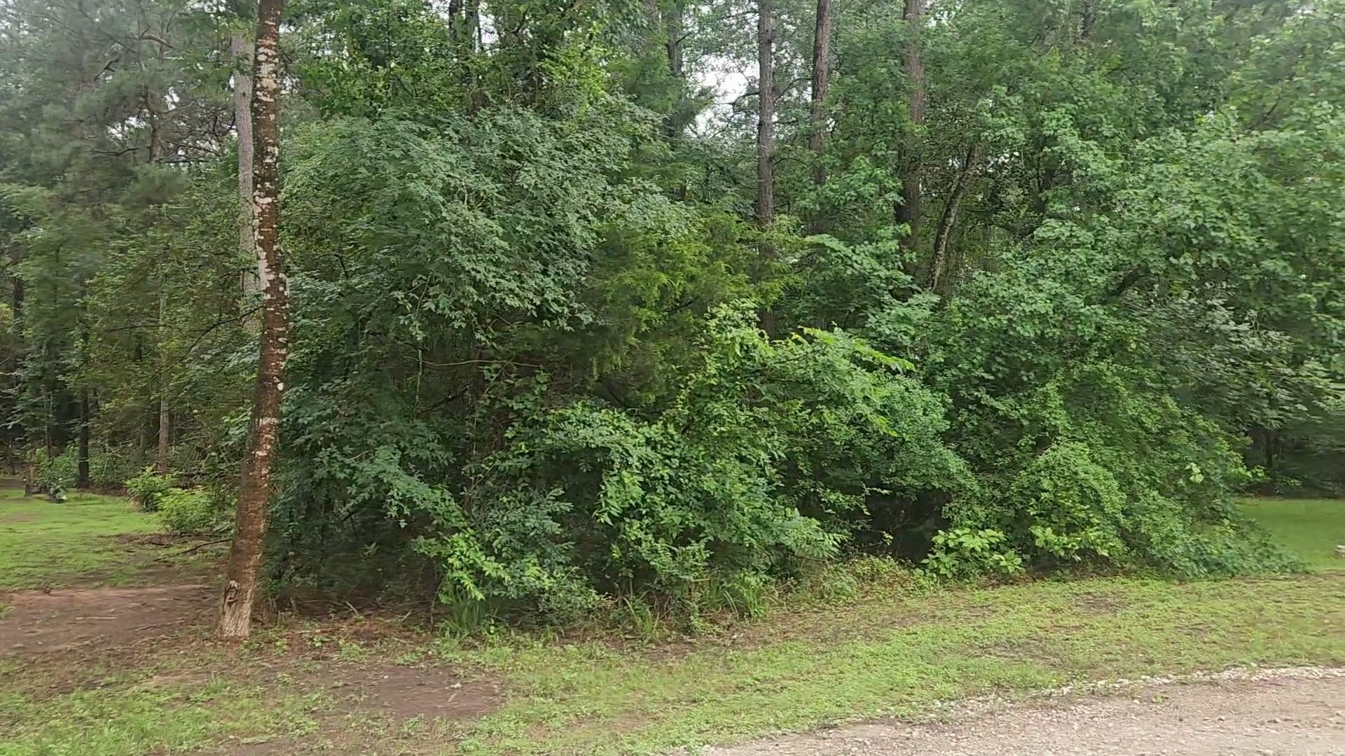 1017 Weeping Willow Drive Property Photo 7
