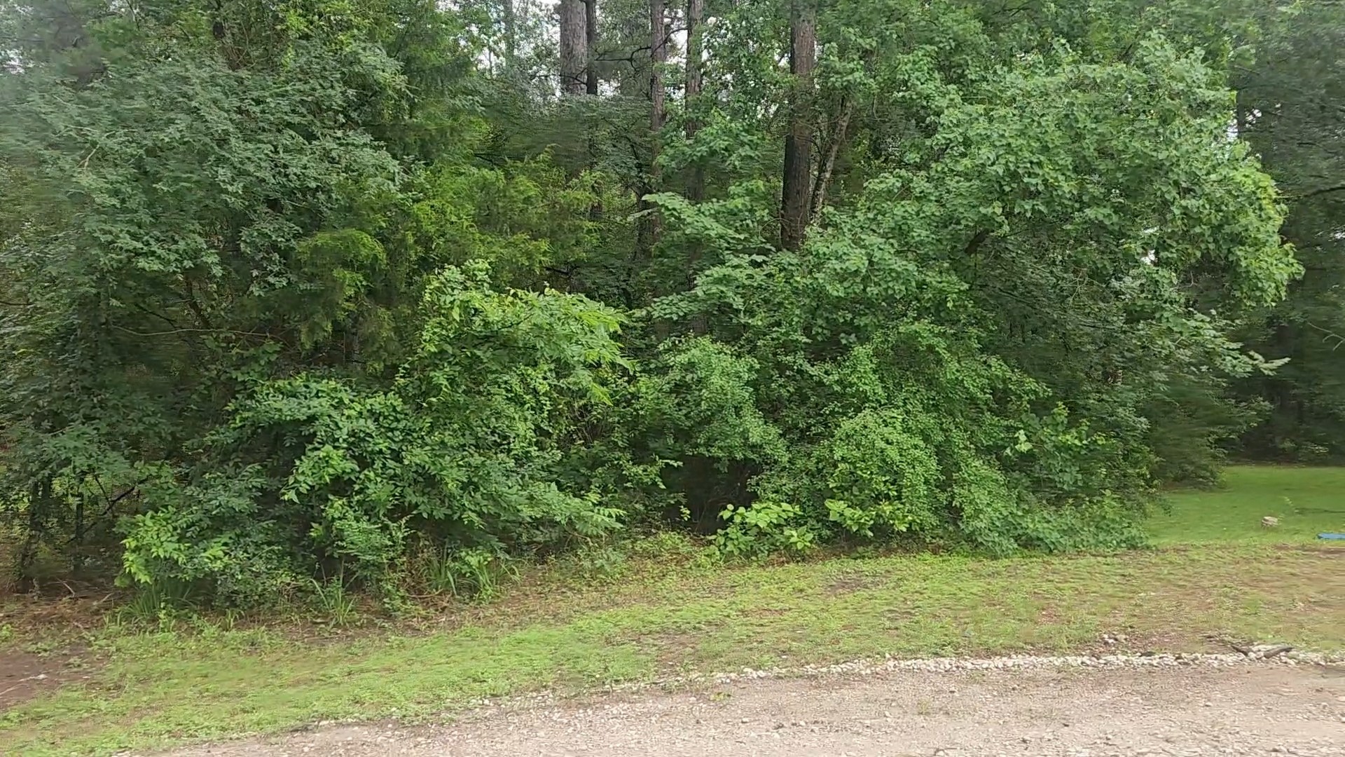 1017 Weeping Willow Drive Property Photo 8