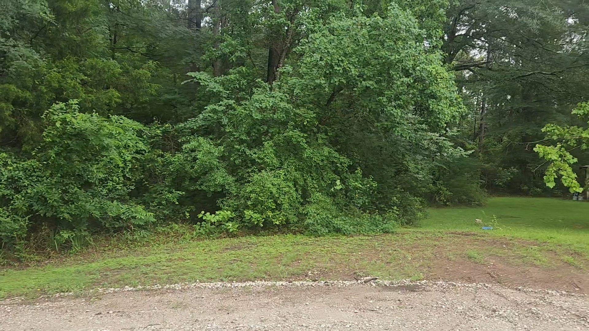 1017 Weeping Willow Drive Property Photo 9
