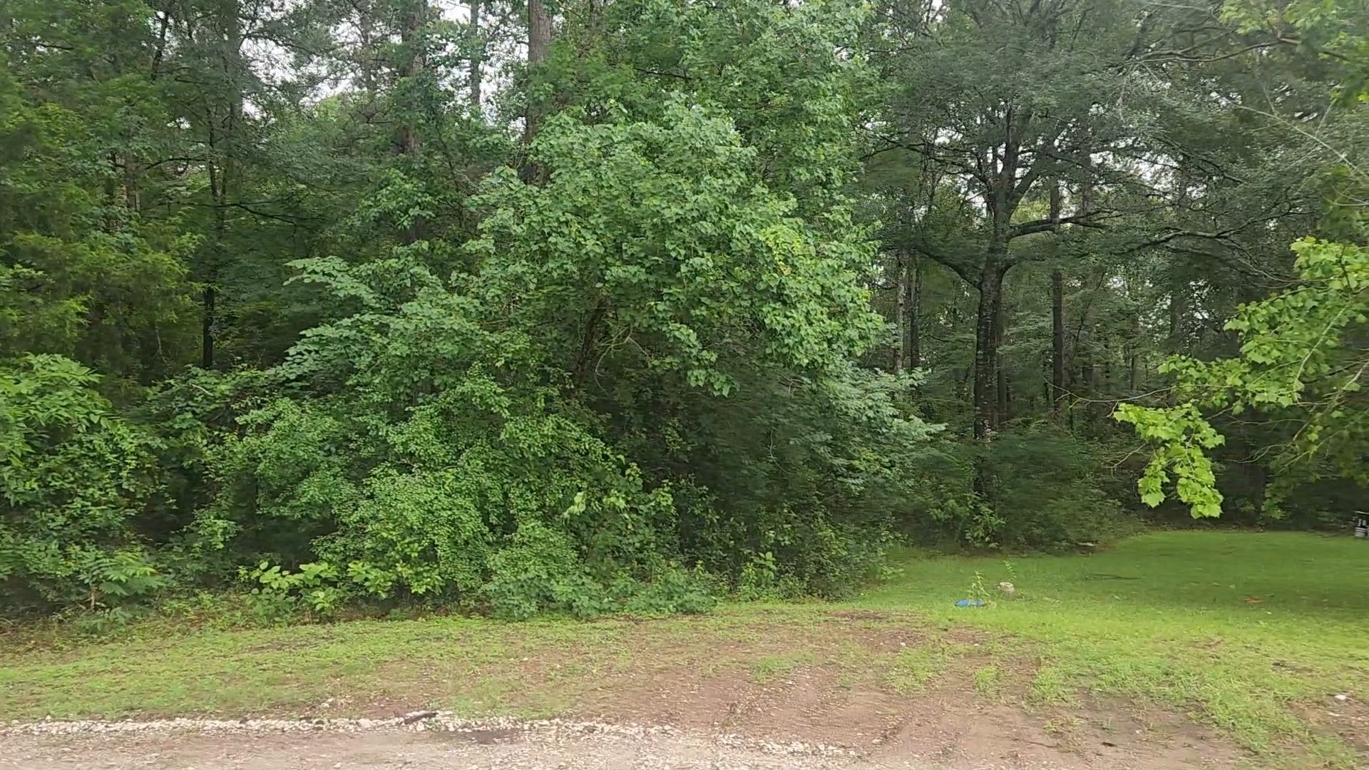 1017 Weeping Willow Drive Property Photo 10