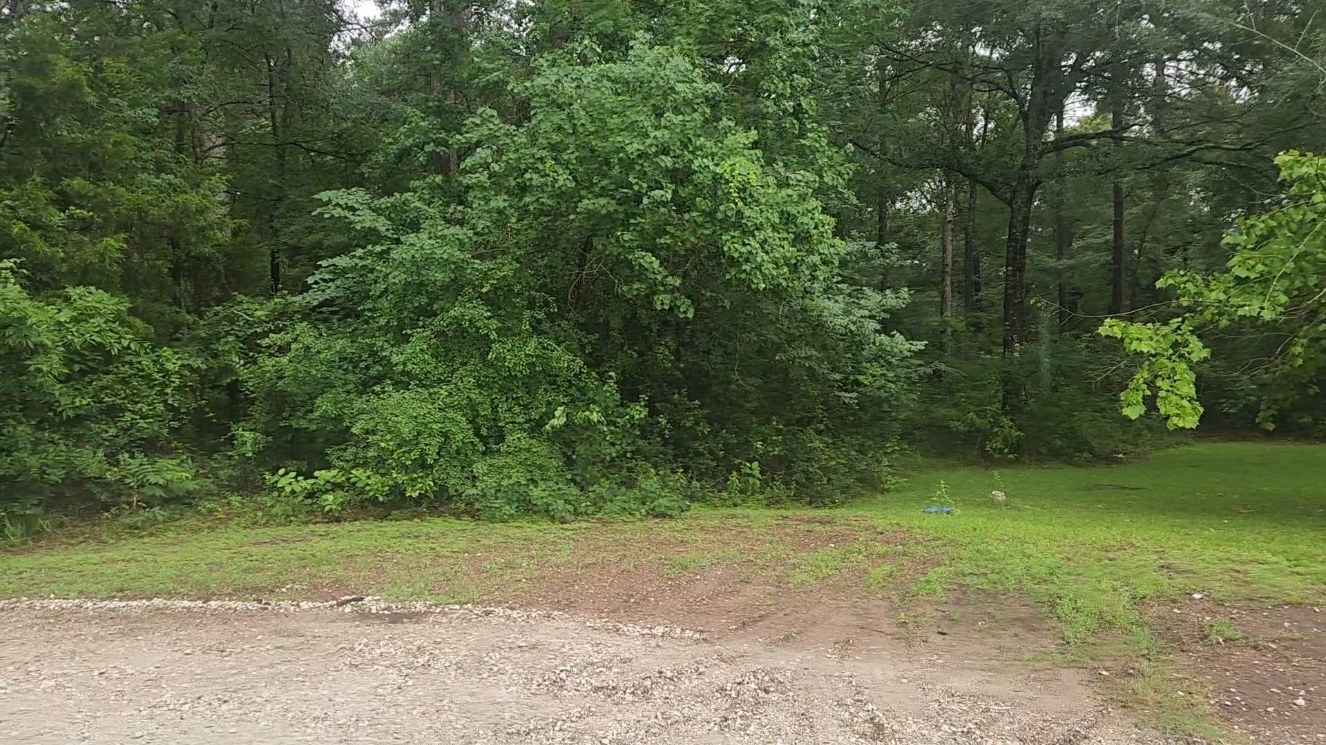 1017 Weeping Willow Drive Property Photo 11