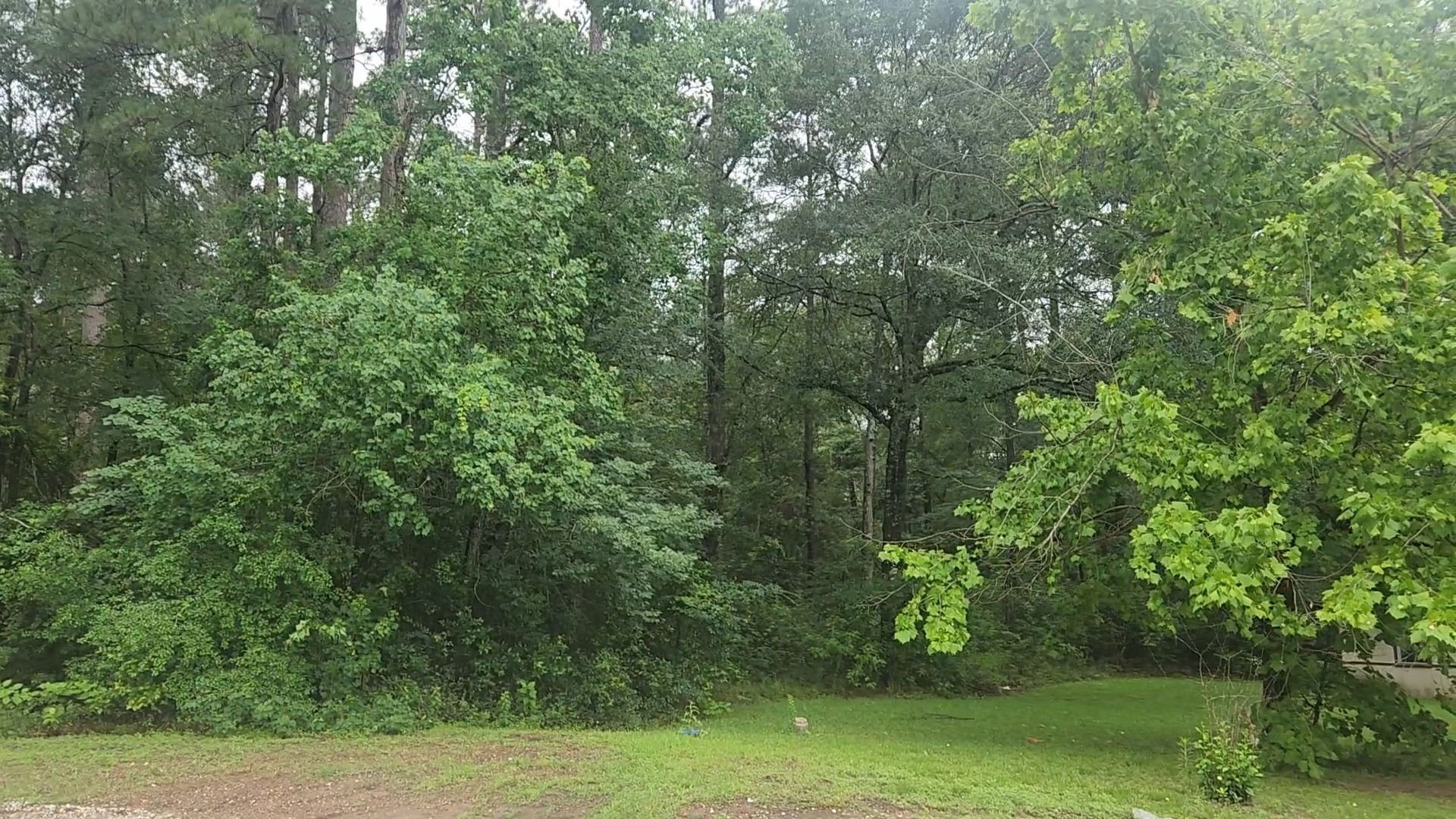1017 Weeping Willow Drive Property Photo 12