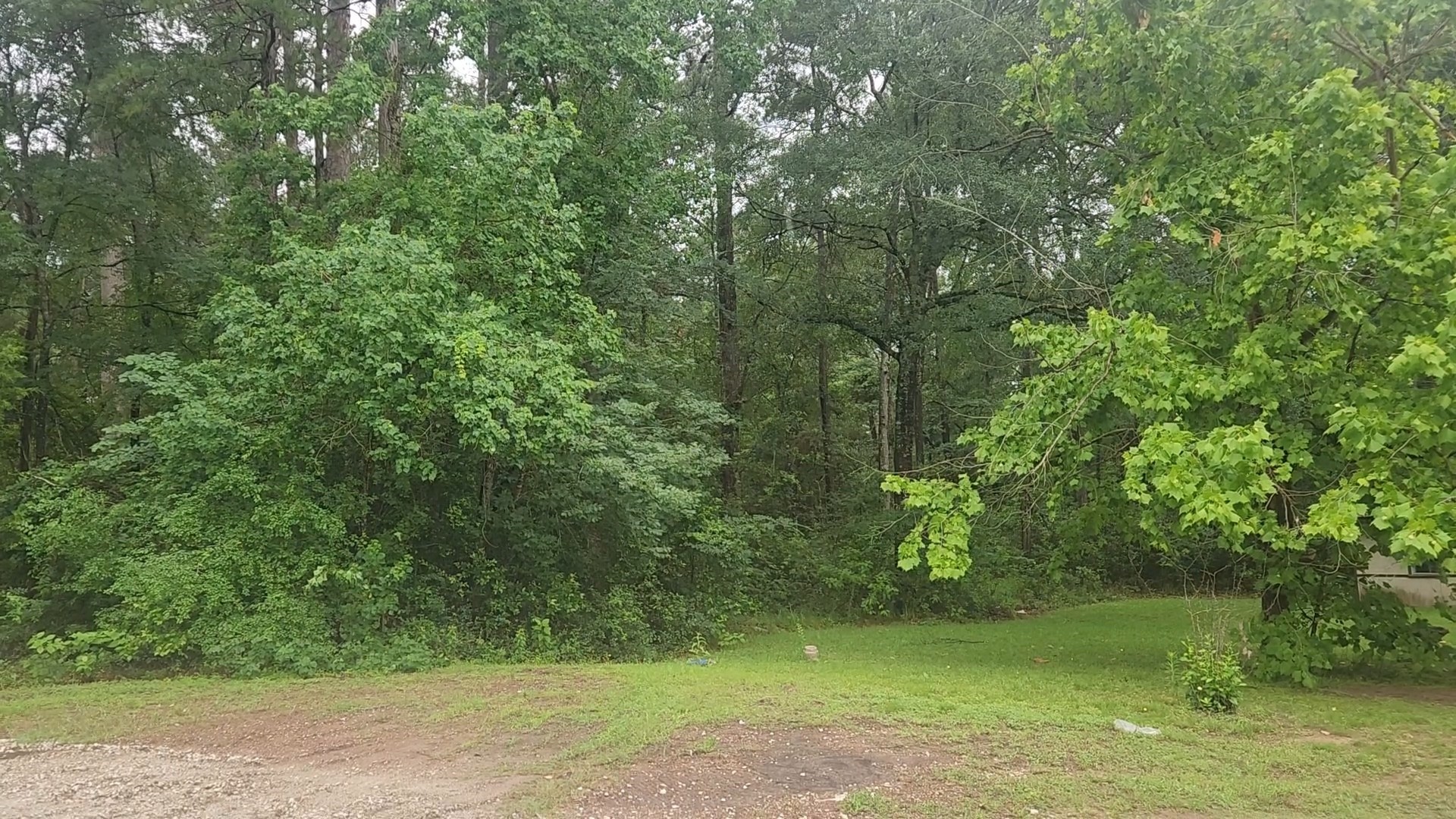 1017 Weeping Willow Drive Property Photo 13