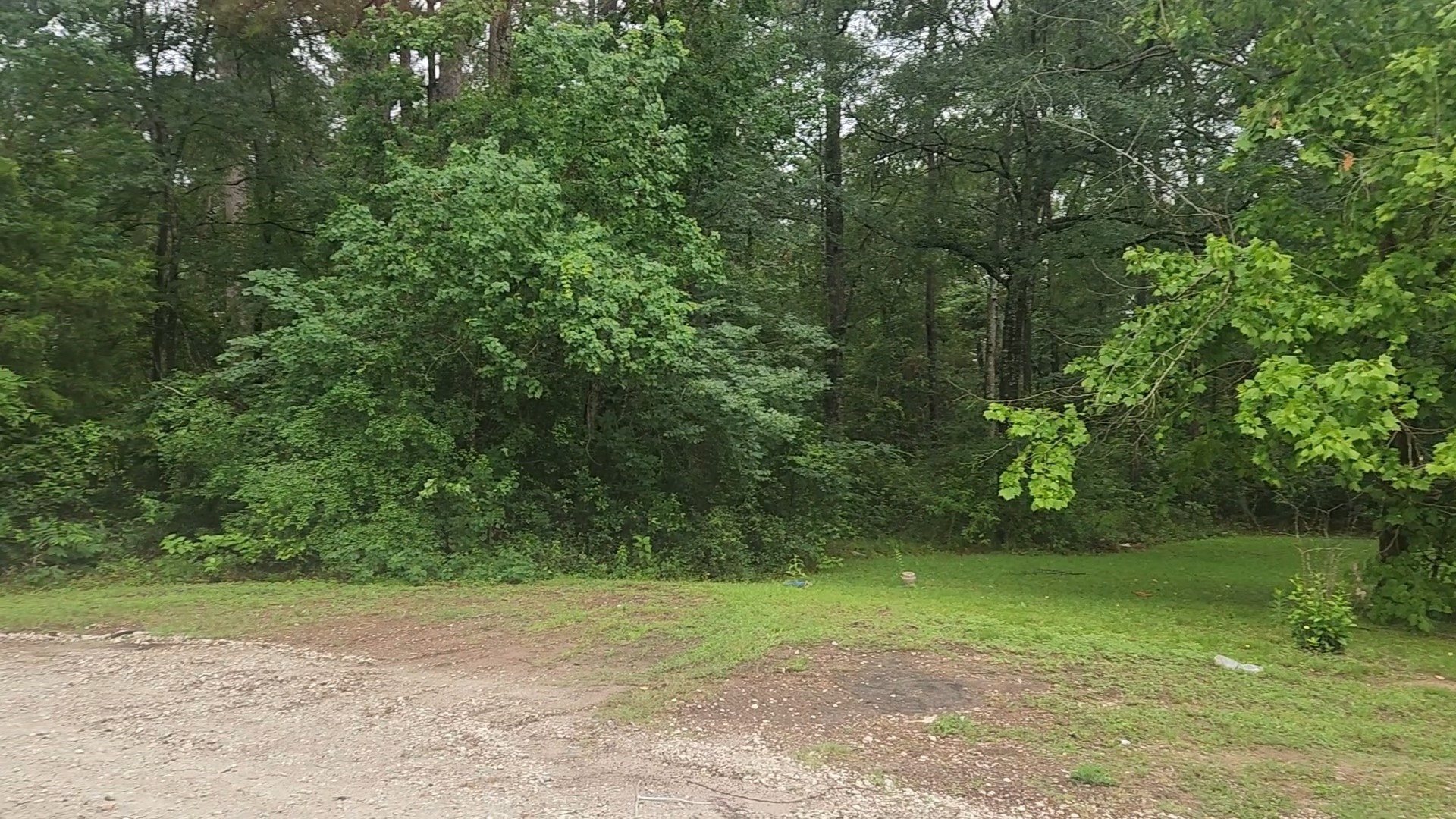 1017 Weeping Willow Drive Property Photo 14