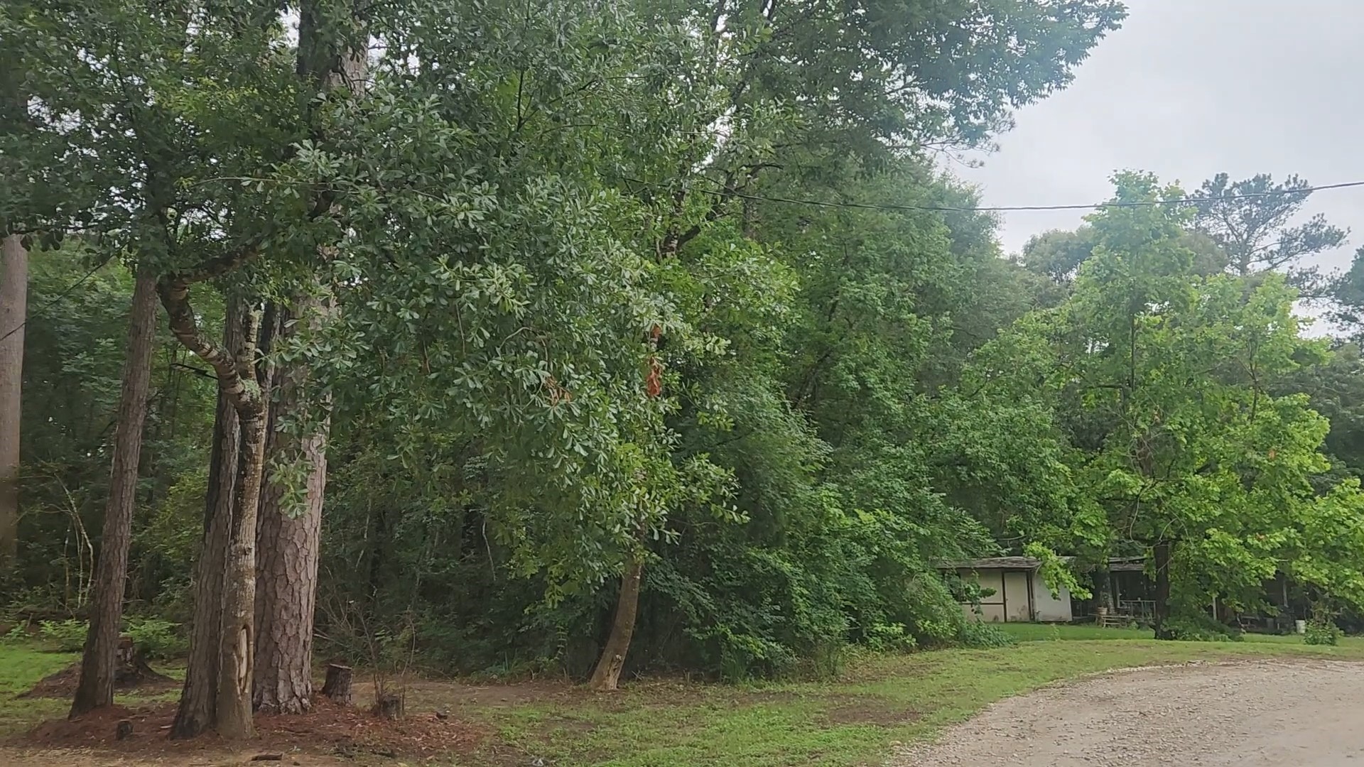 1017 Weeping Willow Drive Property Photo 15