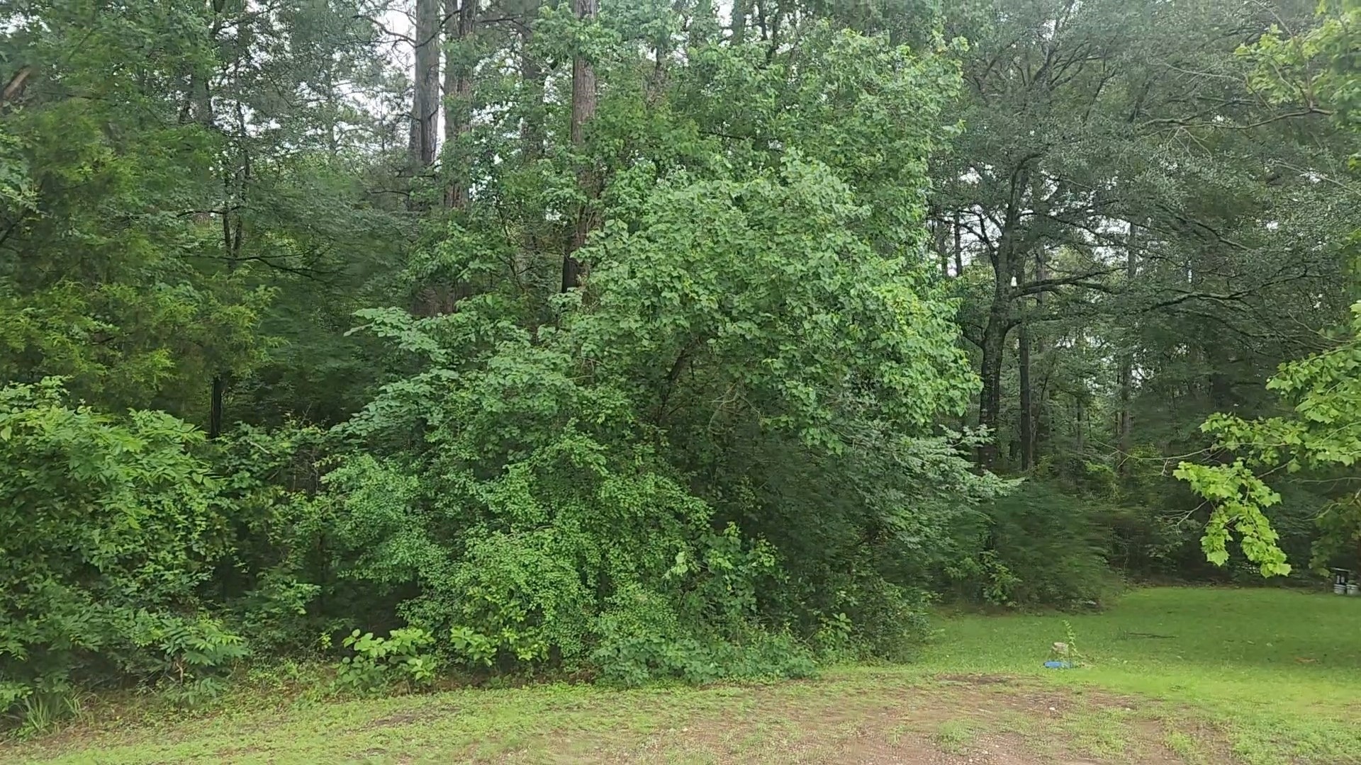 1017 Weeping Willow Drive Property Photo 16