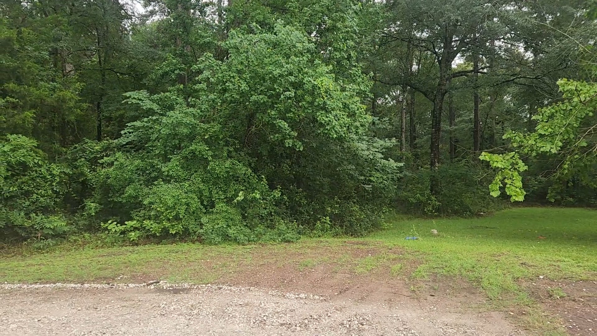 1017 Weeping Willow Drive Property Photo 17