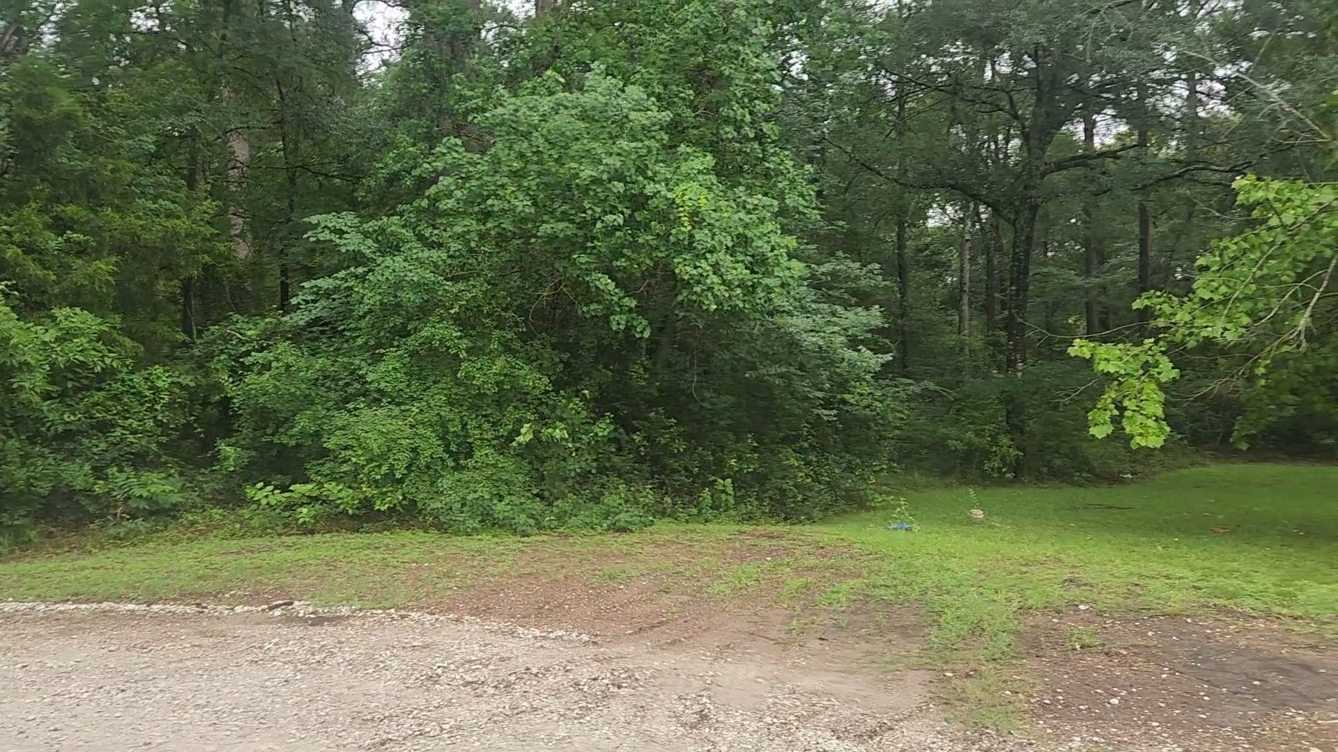 1017 Weeping Willow Drive Property Photo 18