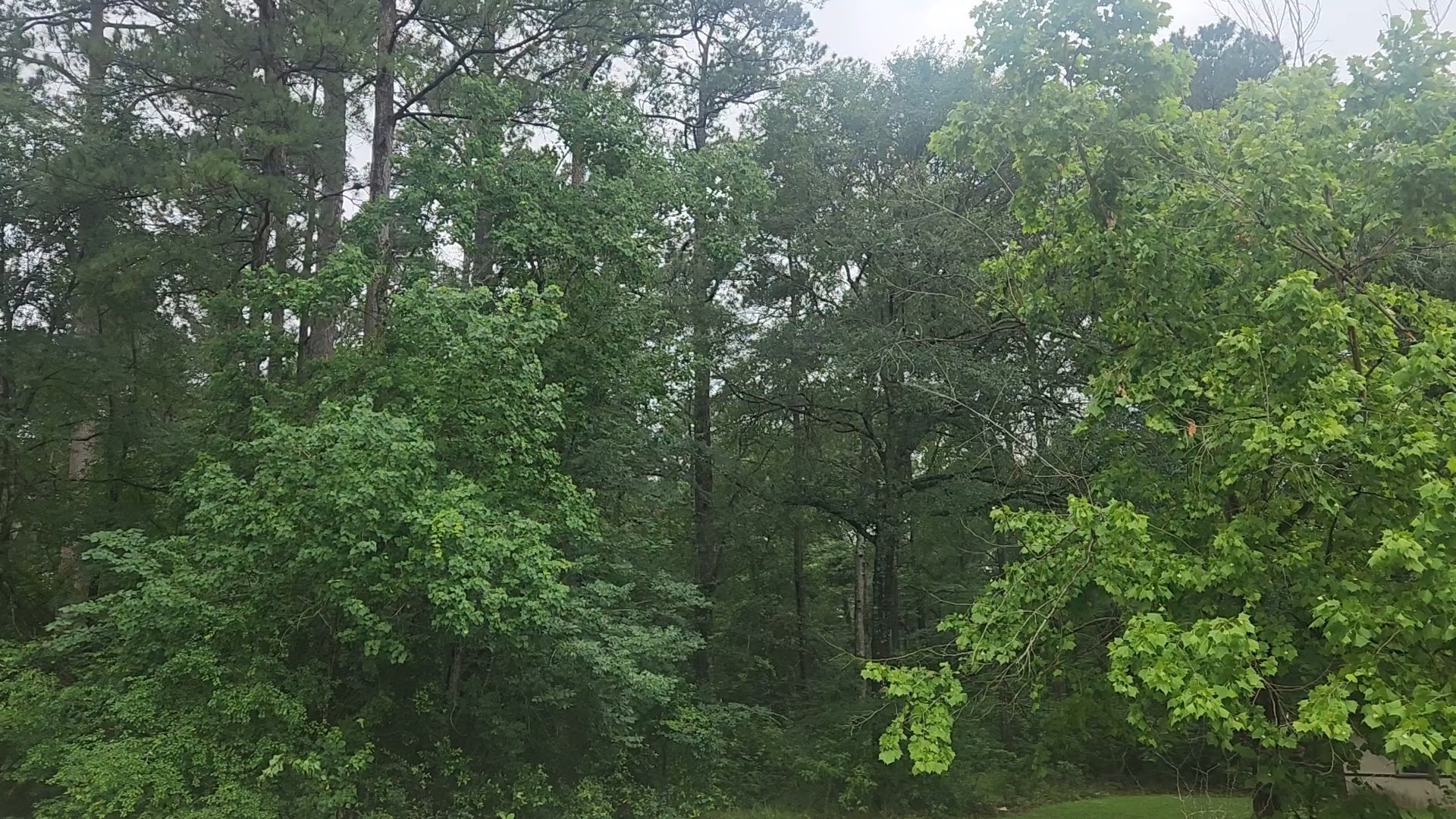 1017 Weeping Willow Drive Property Photo 19
