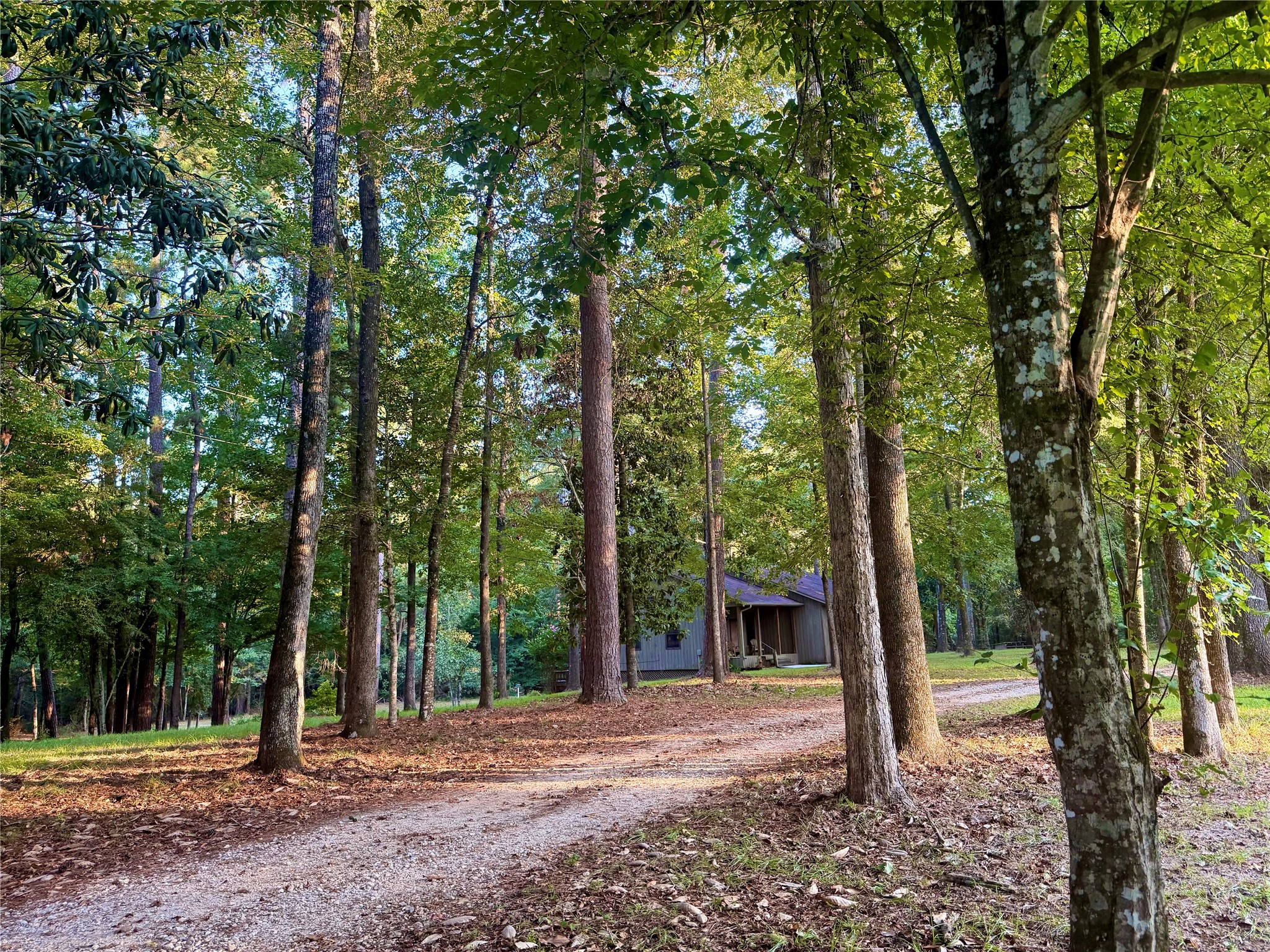 2721 Kelley Property Photo 8