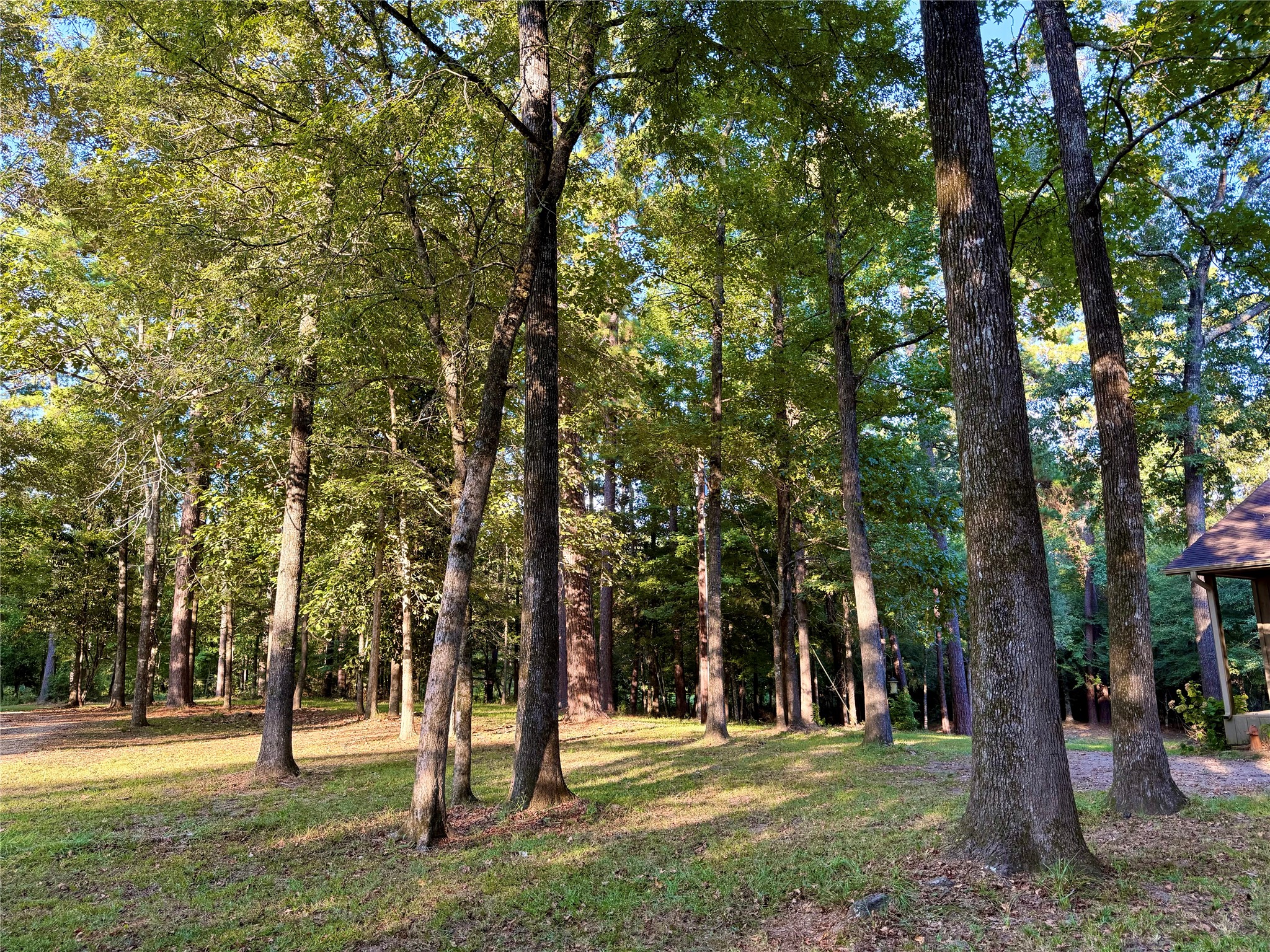 2721 Kelley Property Photo 14